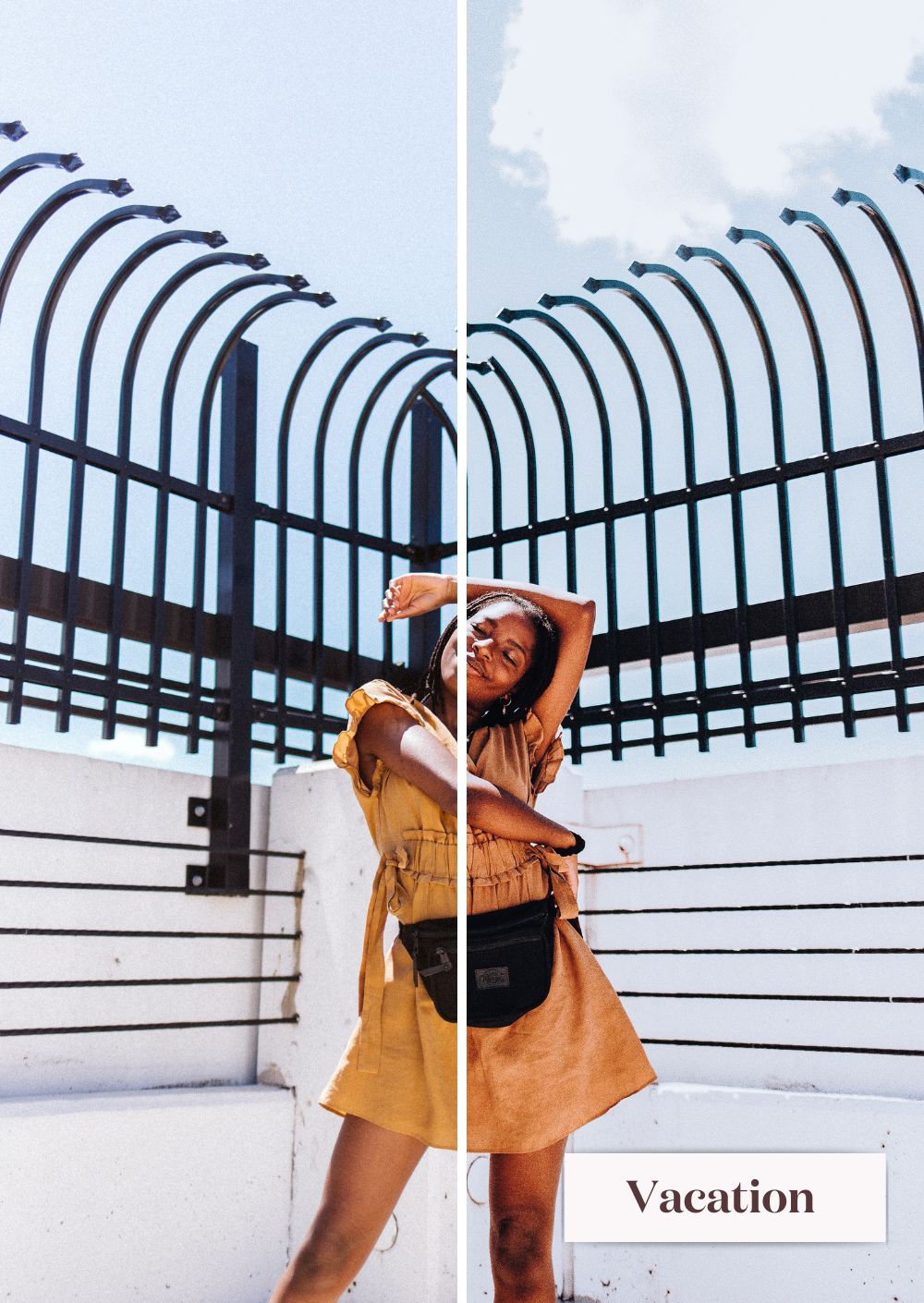 Lifestyle Collection (Presets)