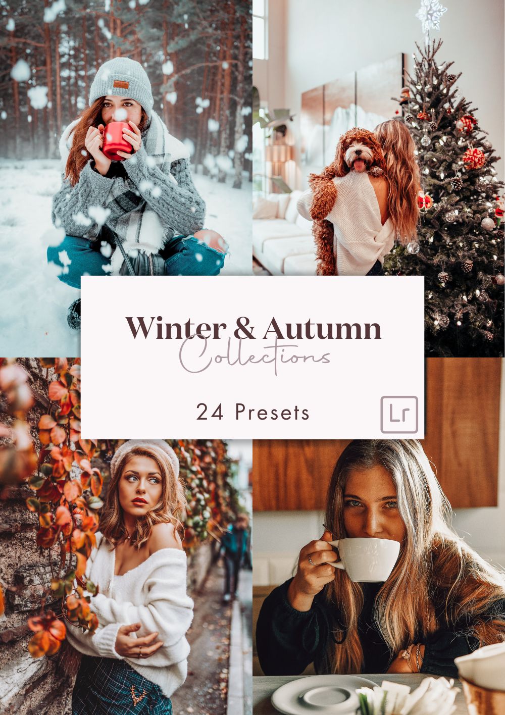 Duo Autumn + Winter Collection (24 presets)