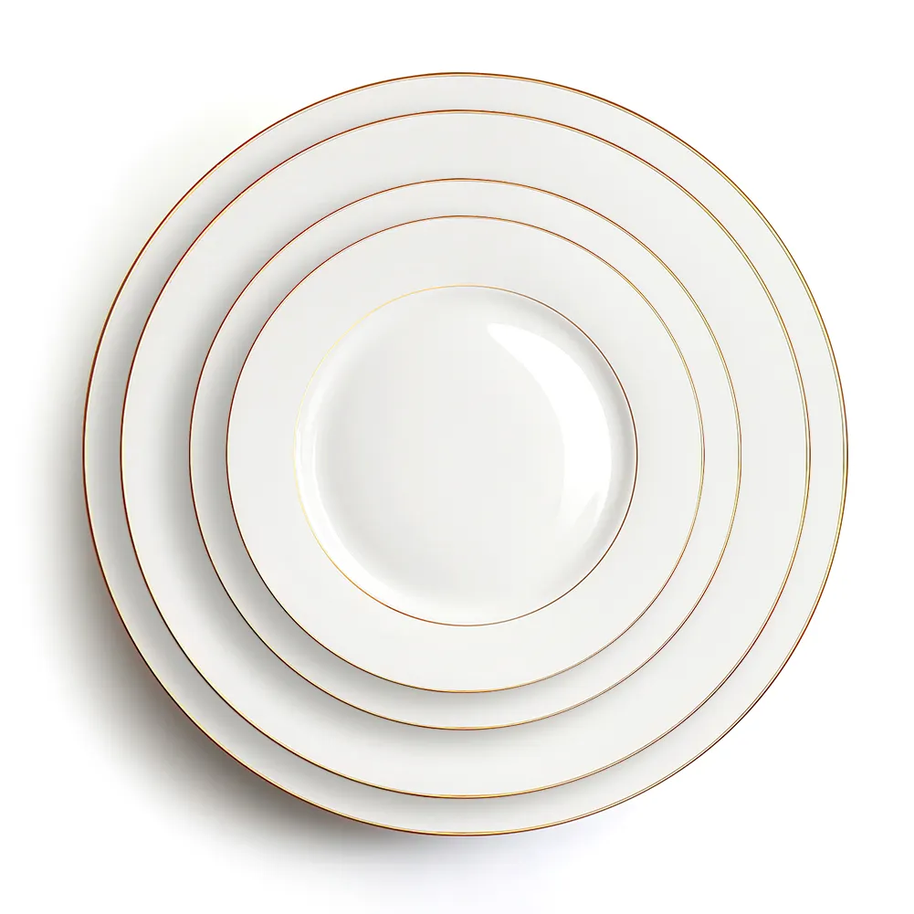 Elegant Dinner Plate Set