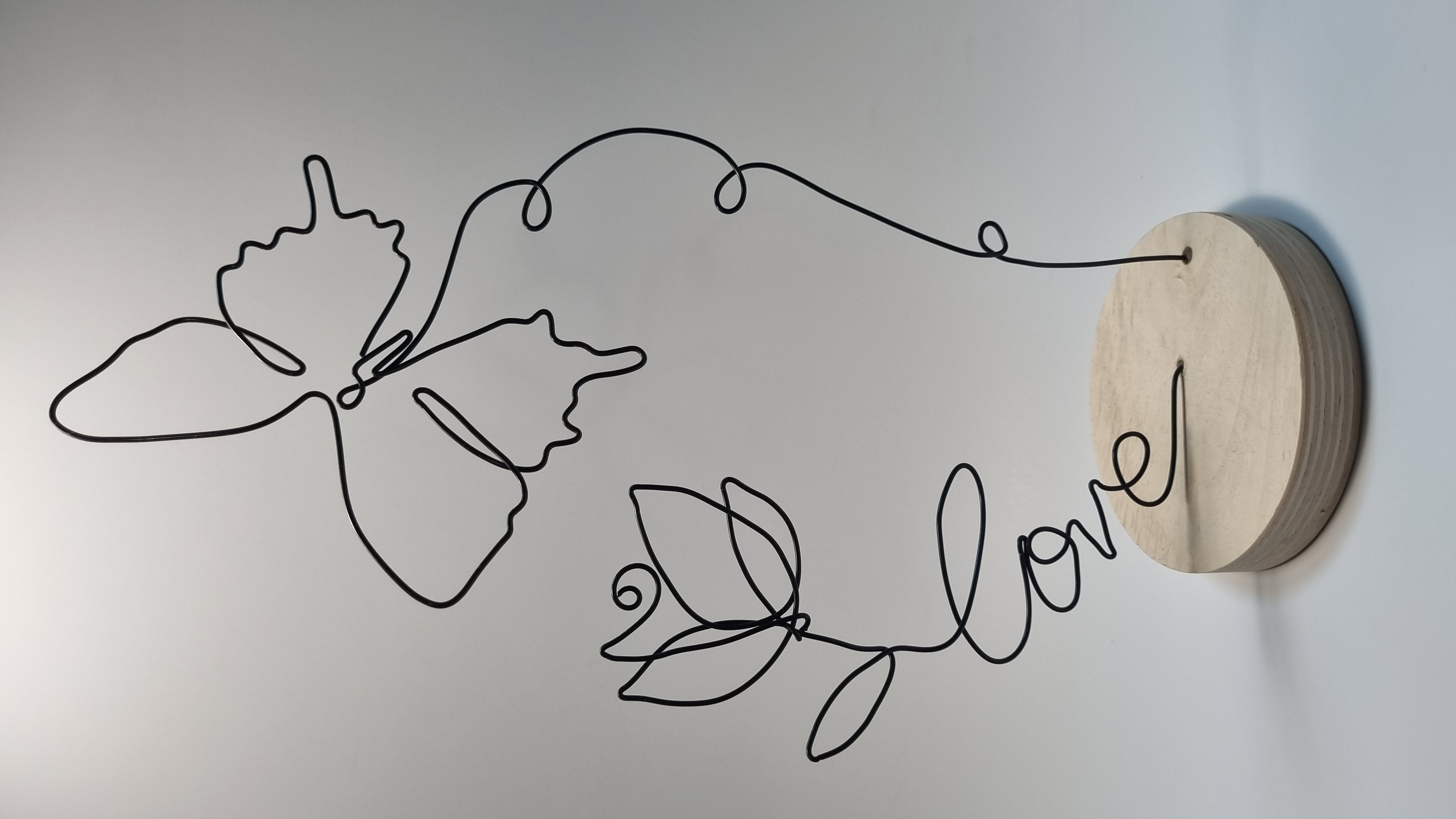 פרפר ופרח האהבה