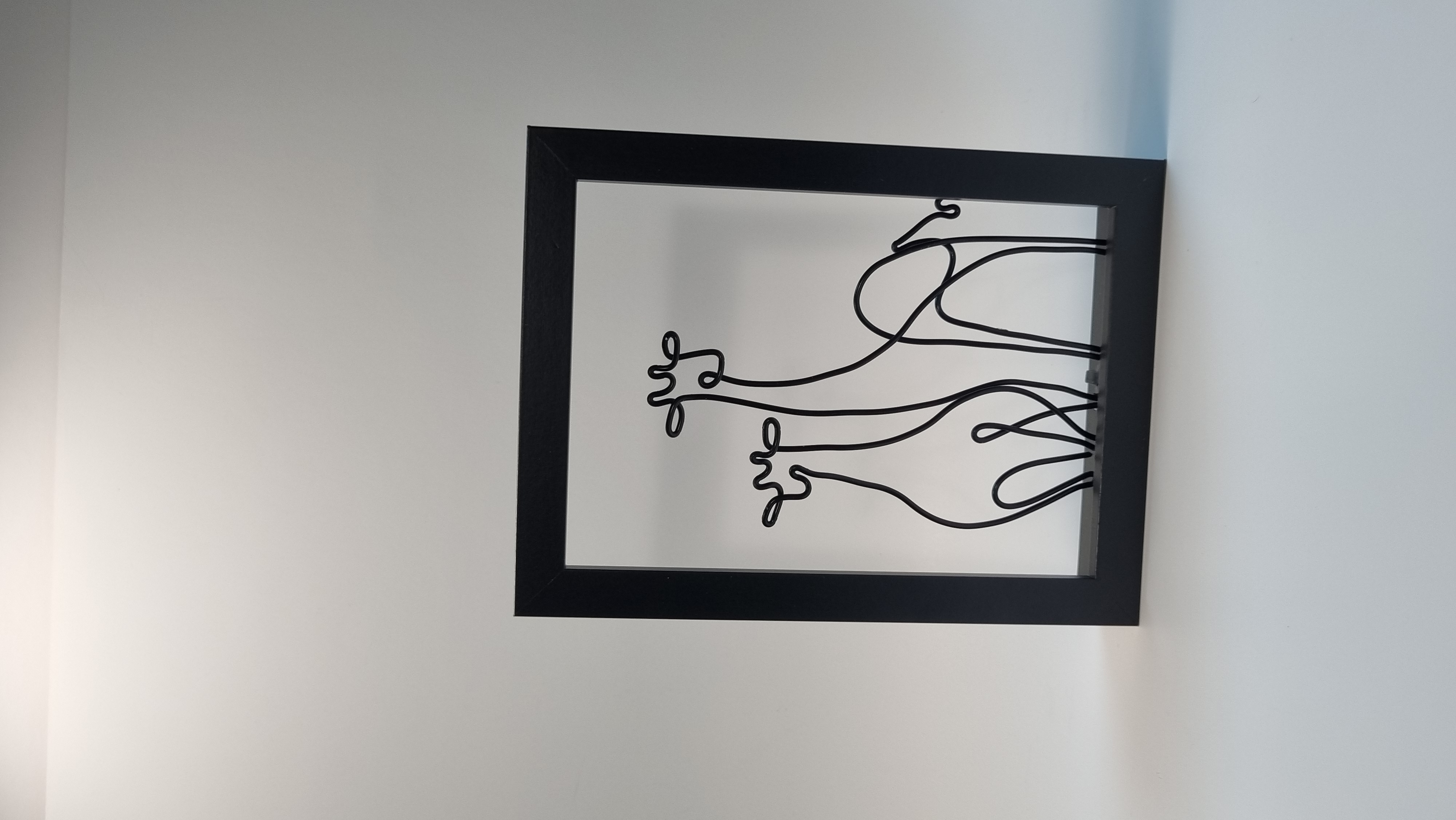 ג'ירפות במסגרת