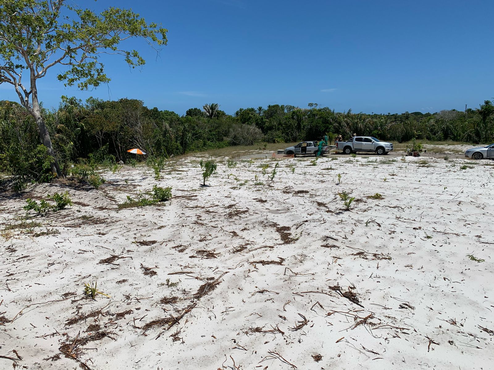 Lote Praia do Forte 800m²
