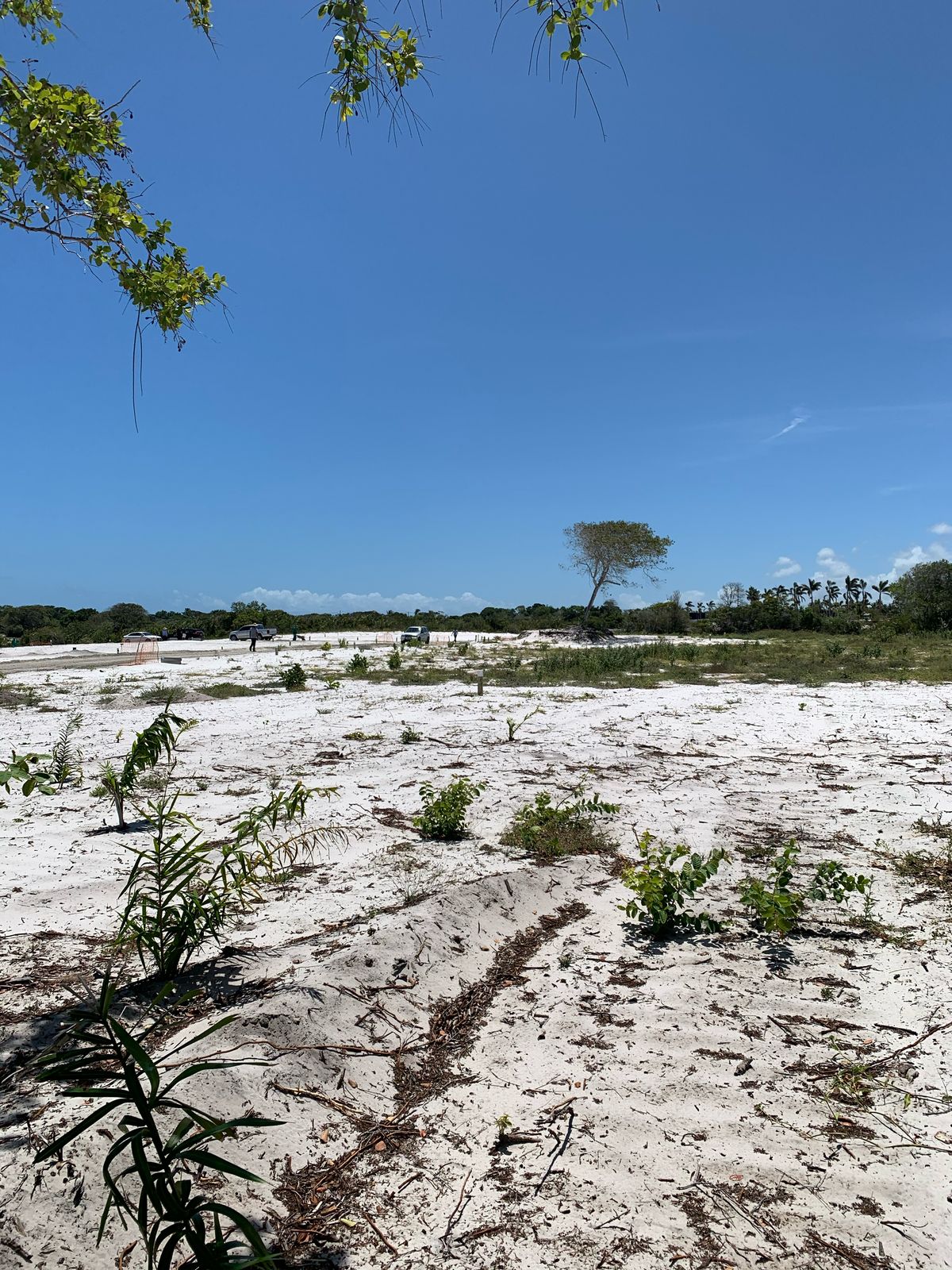 Lote Praia do Forte 800m²