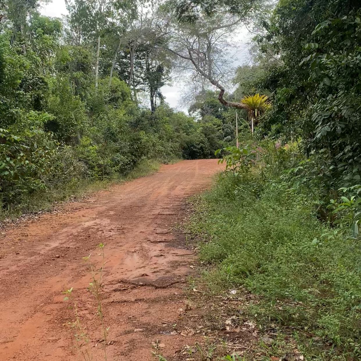 Lote 1.600m² Trilha das Mandalas
