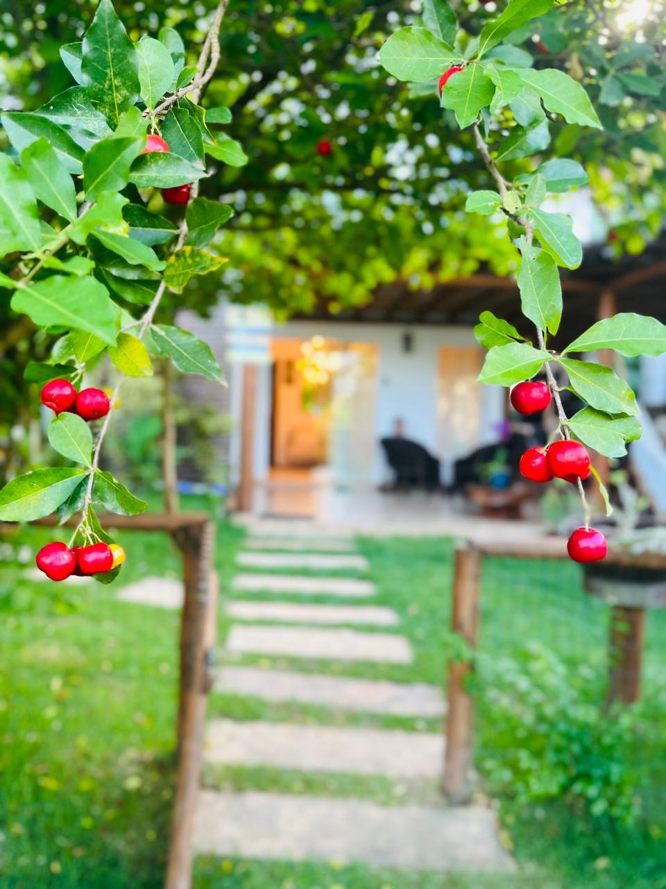 Quinta das Árvores 8 pessoas 