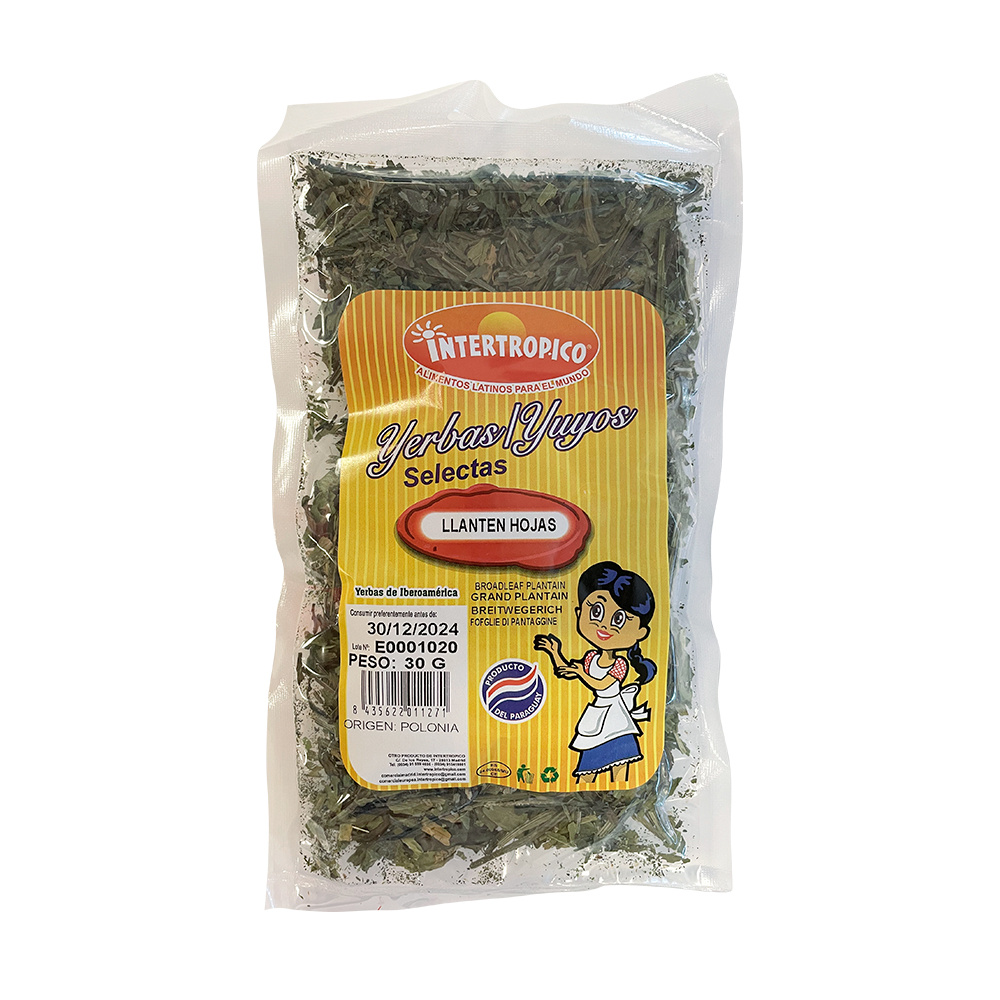 LLANTEN HOJA INTERTROPICO