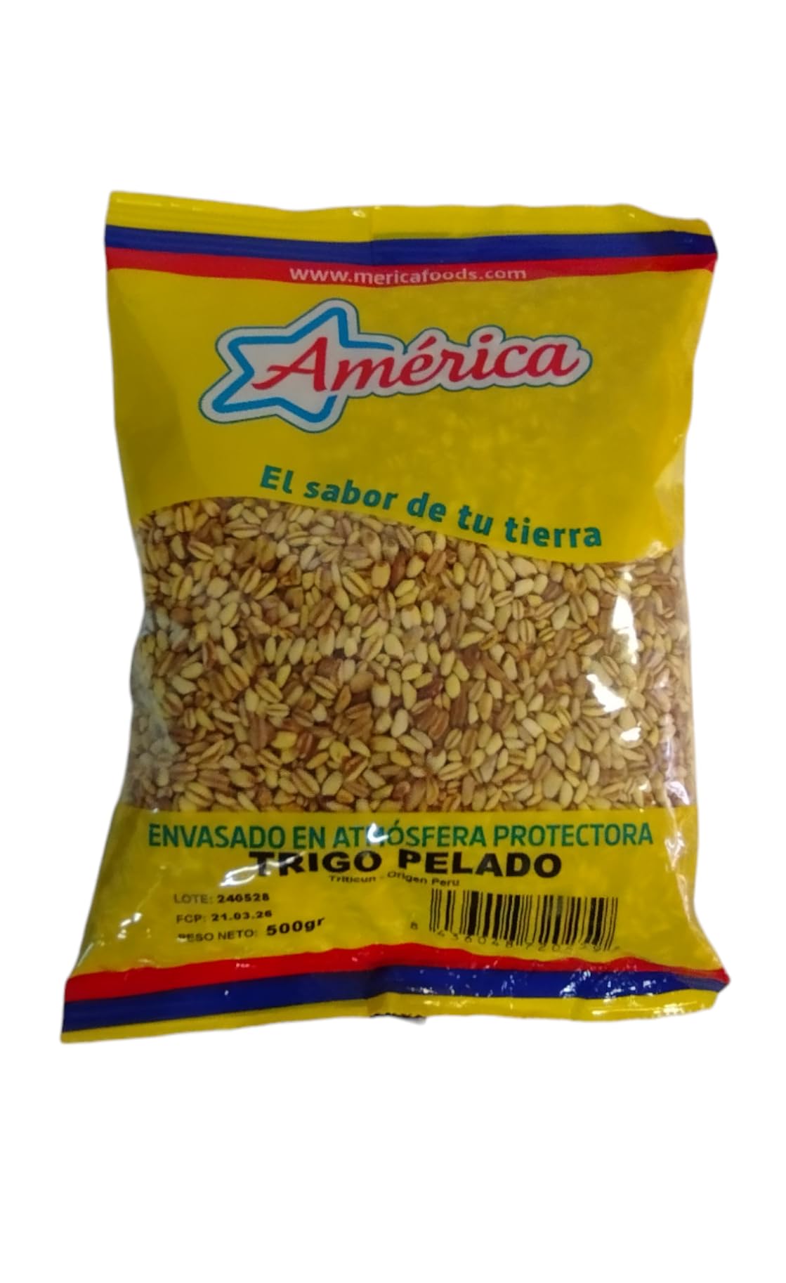 TRIGO PELADO AMERICA