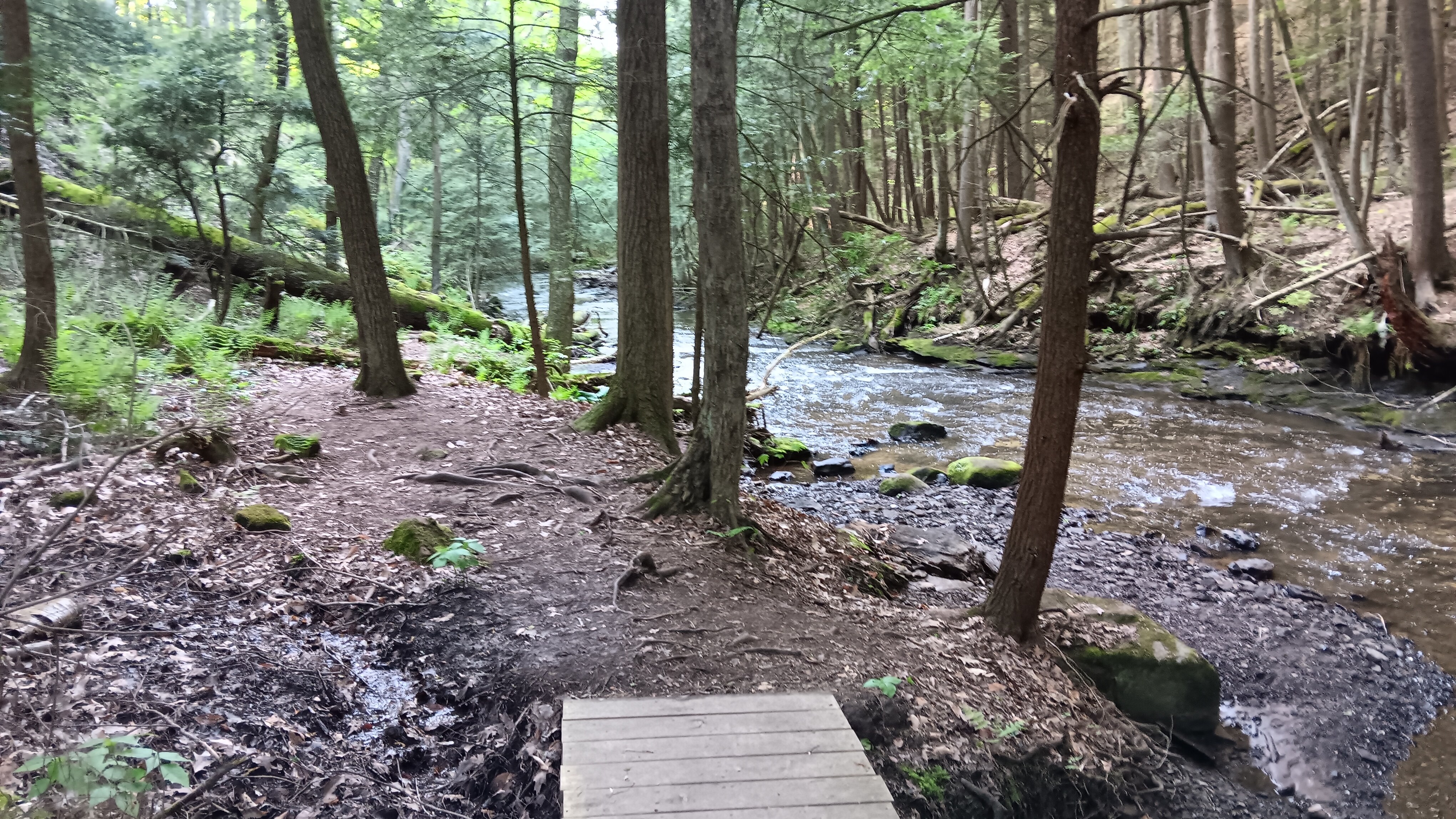 Fri. June 13, 25 | 12:45pm - 3:00pm | Cobblehaus at the Falls - Mercer, PA