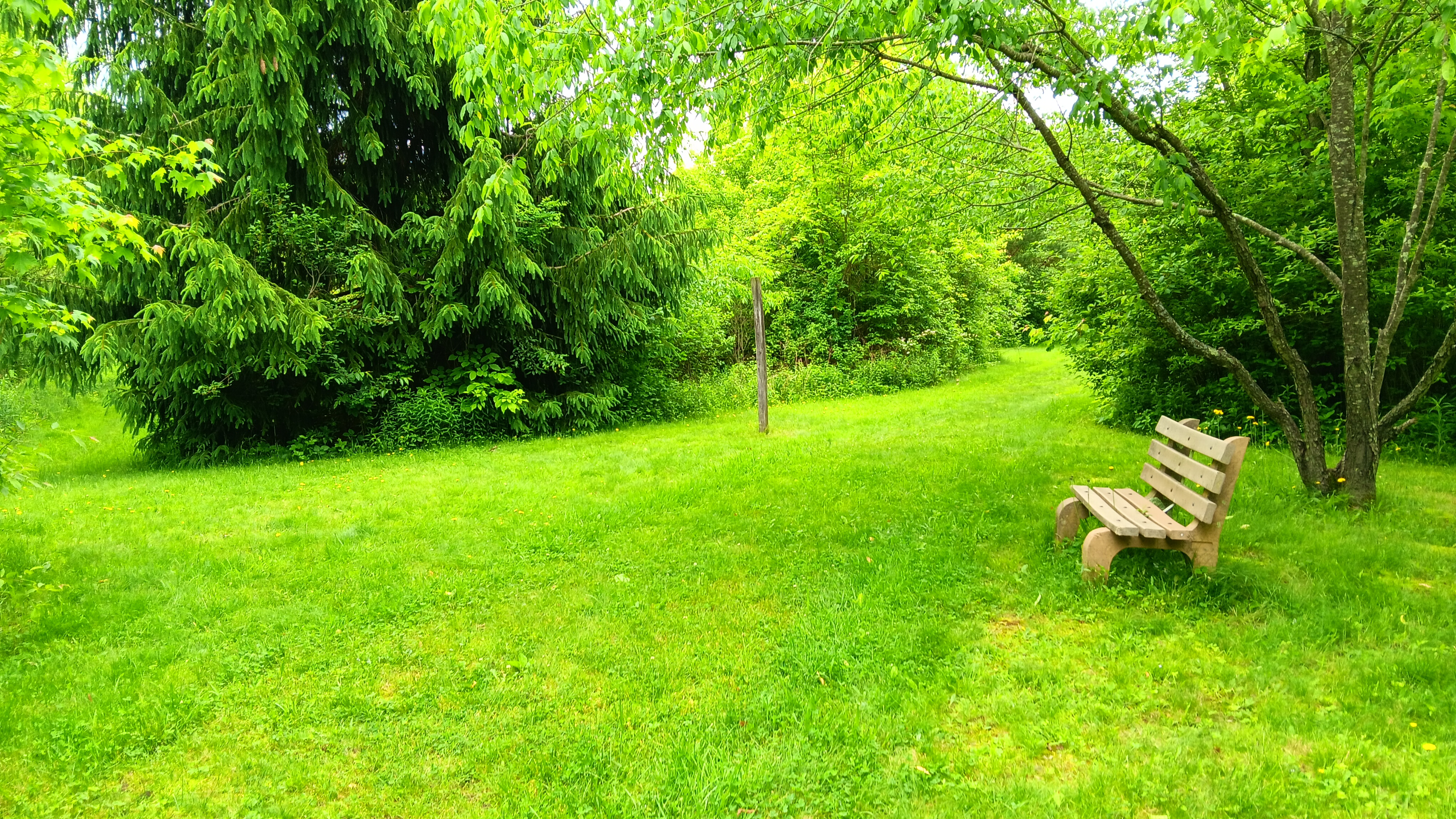 Sun. July 20, 25 | 9:00am-11:00am | West Park Nature Center - New Castle, PA