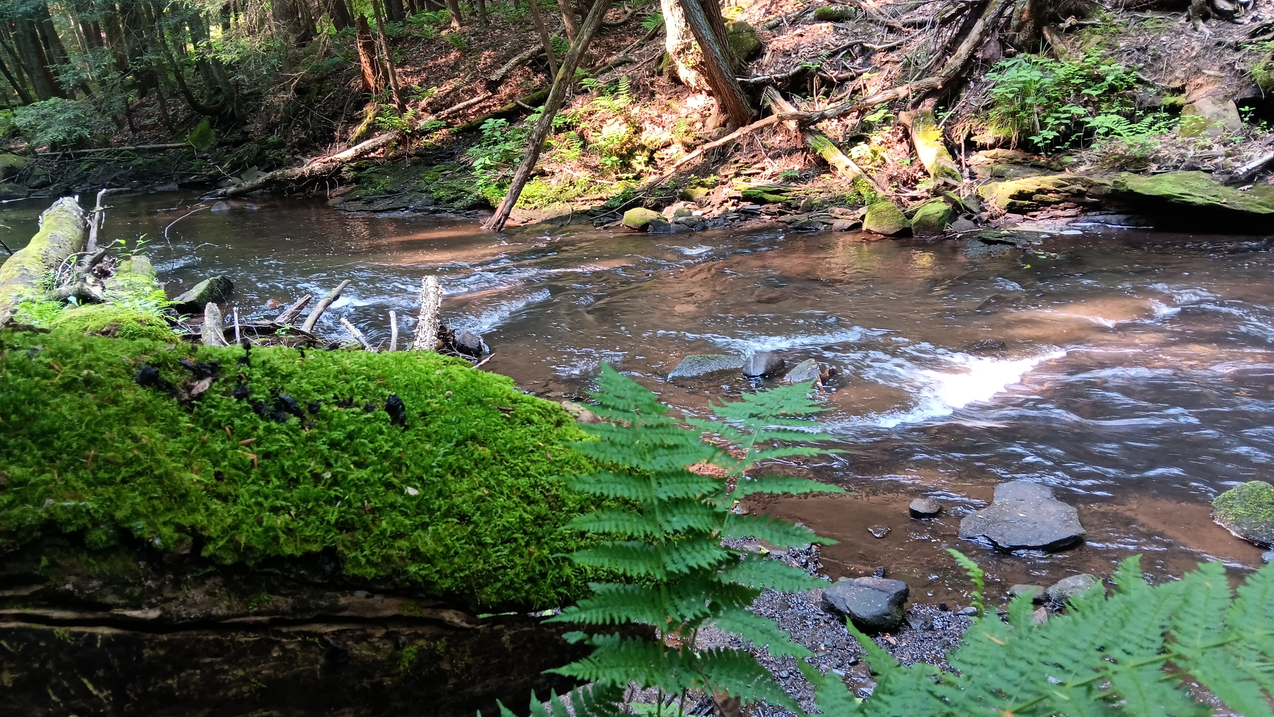 Fri. Aug. 15, 25 | 1:00pm - 3:00pm | Cobblehaus at the Falls - Mercer, PA