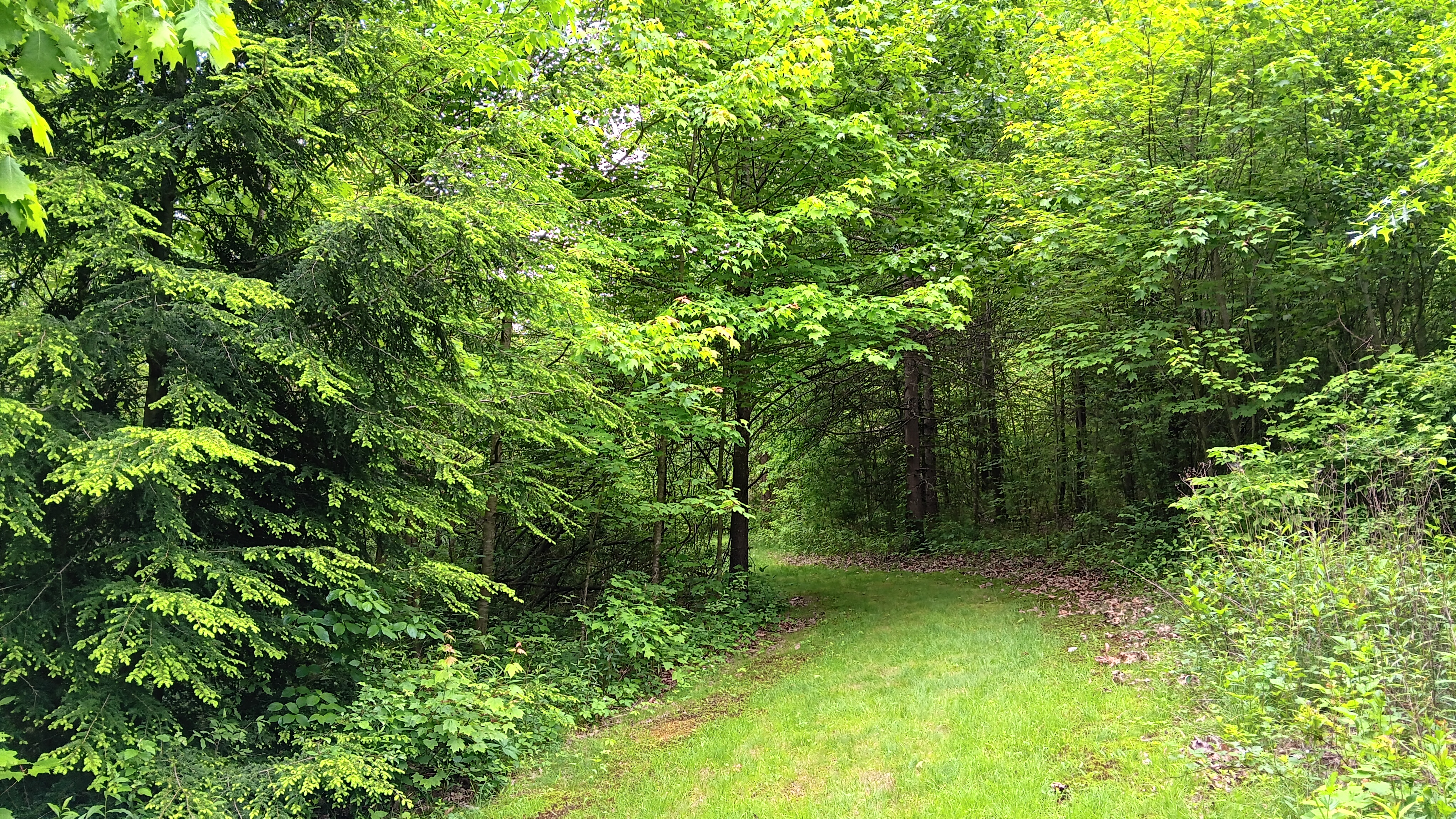 Sun. Aug. 10, 25 | 9:00am-11:00am | West Park Nature Center - New Castle, PA