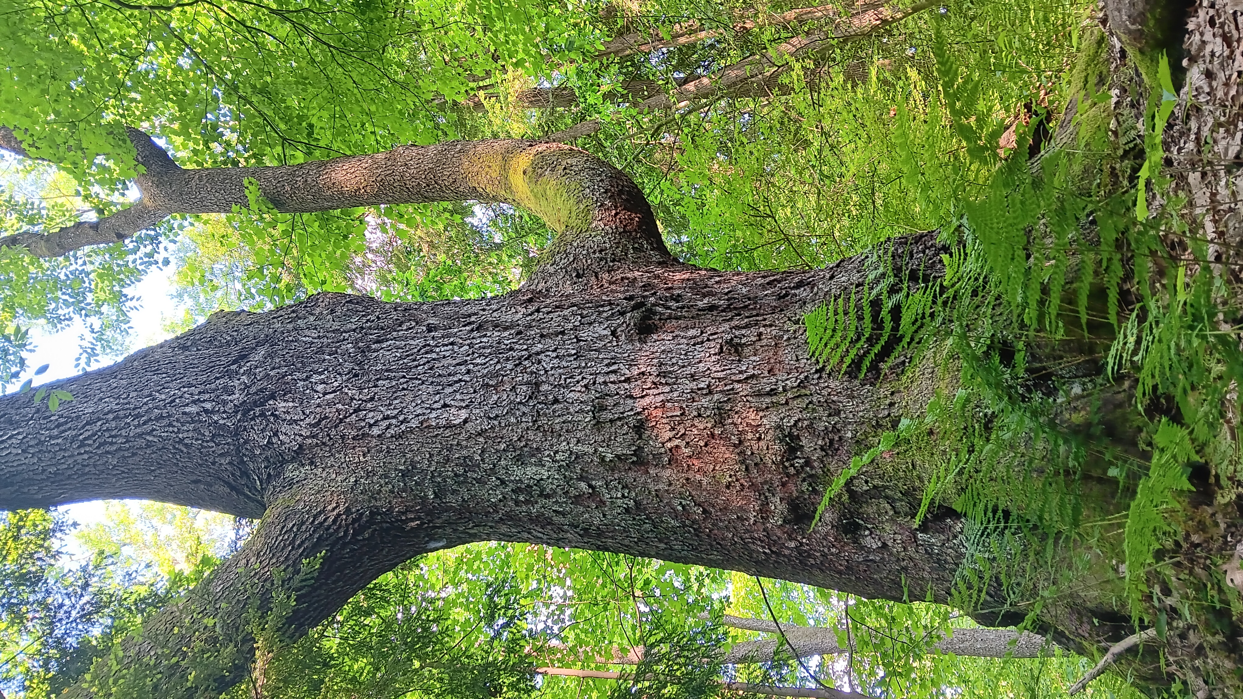 Fri. Sept. 26, 25 | 1:00pm - 3:00pm | Cobblehaus at the Falls - Mercer, PA