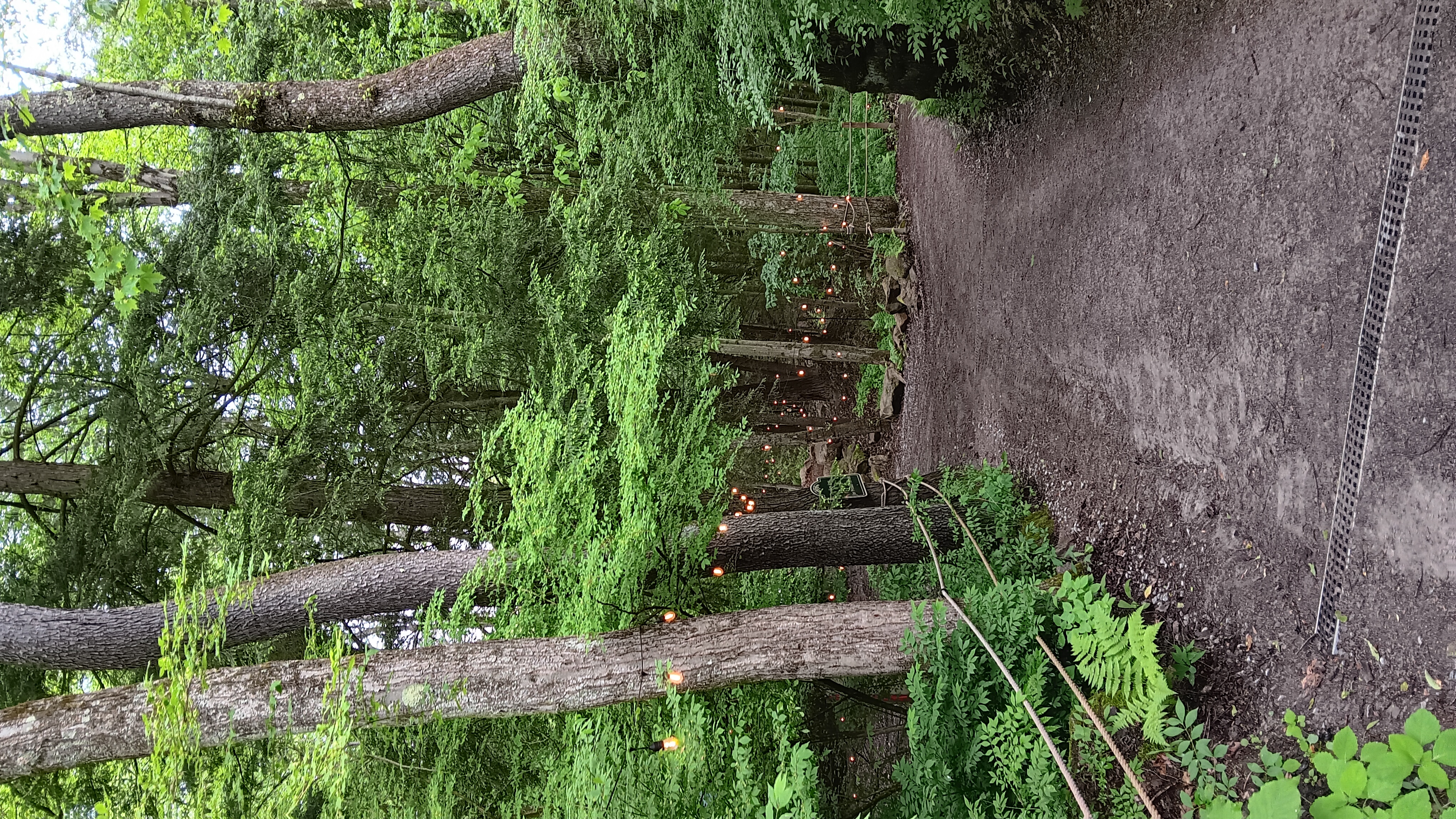 Fri. Sept. 26, 25 | 1:00pm - 3:00pm | Cobblehaus at the Falls - Mercer, PA