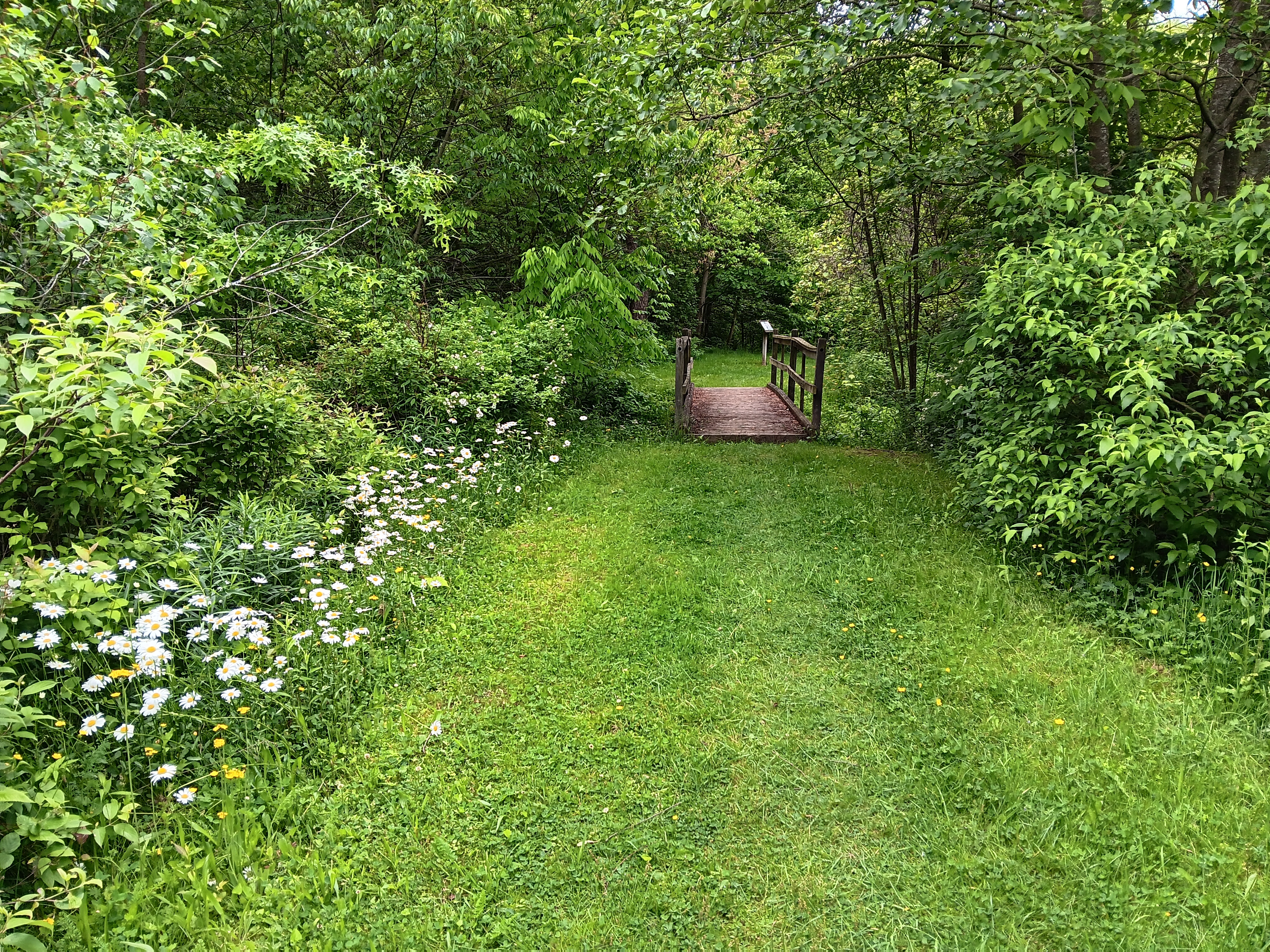 Sun. April 12, 26 | 1:00pm-3:00pm | West Park Nature Center - New Castle, PA