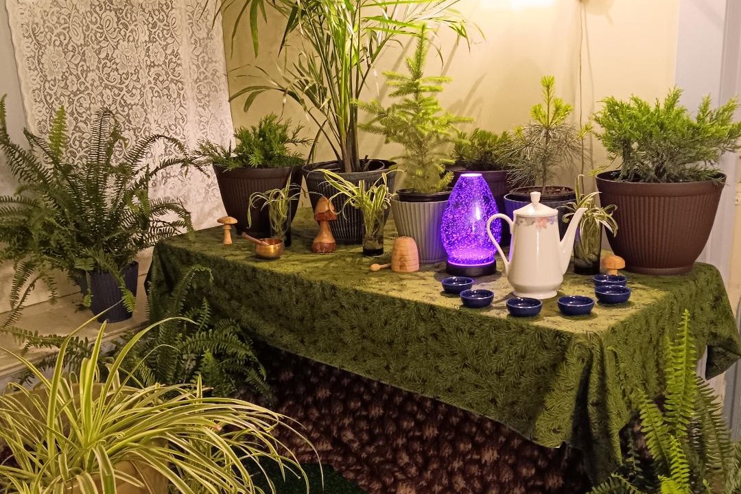 Sat. Sept. 20, 25 | 2:00pm - 4:00pm | Indoor Sylvotherapy at The Holistic Dragonfly - Bridgeville, PA