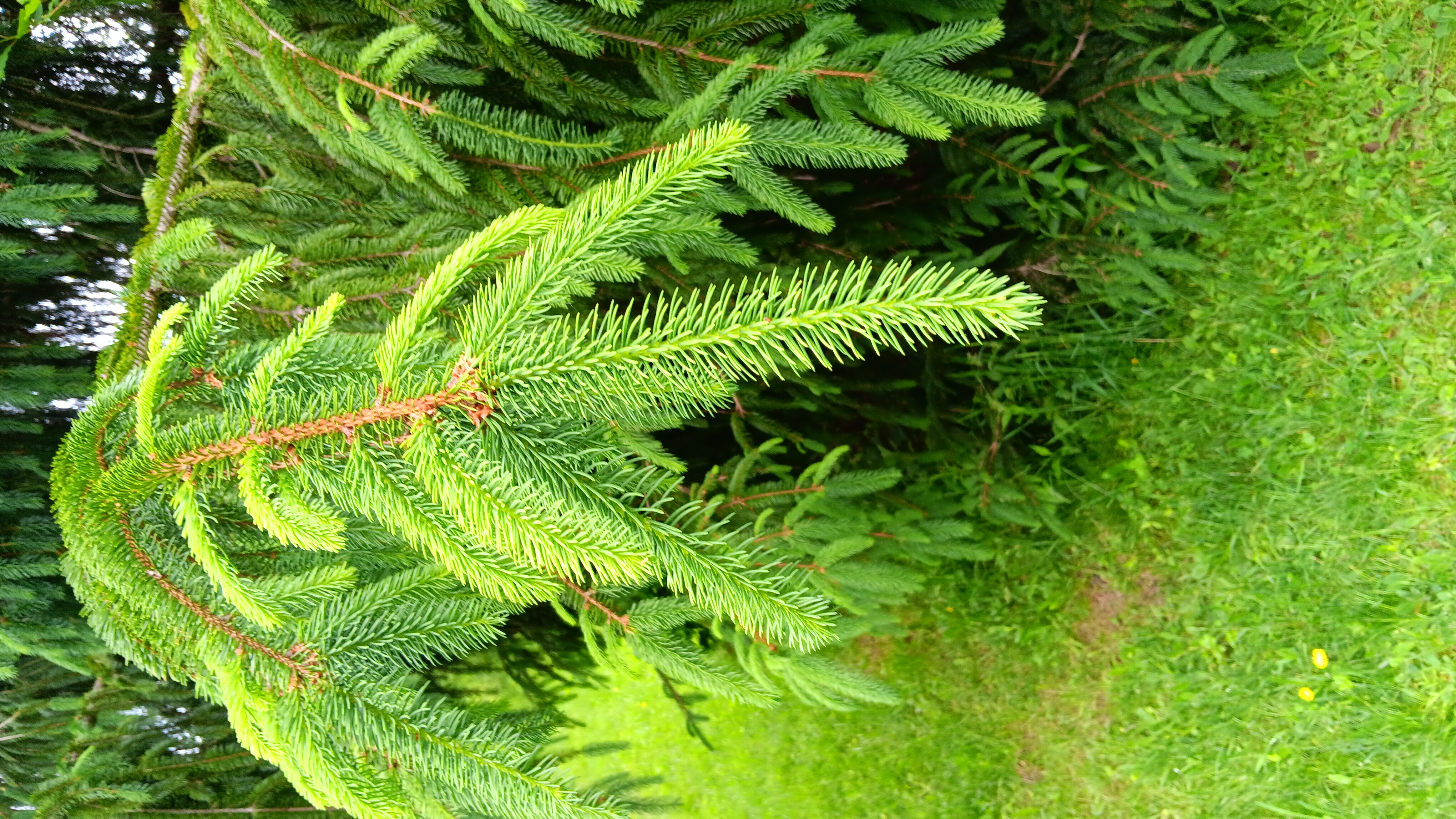 Sun. April 12, 26 | 1:00pm-3:00pm | West Park Nature Center - New Castle, PA