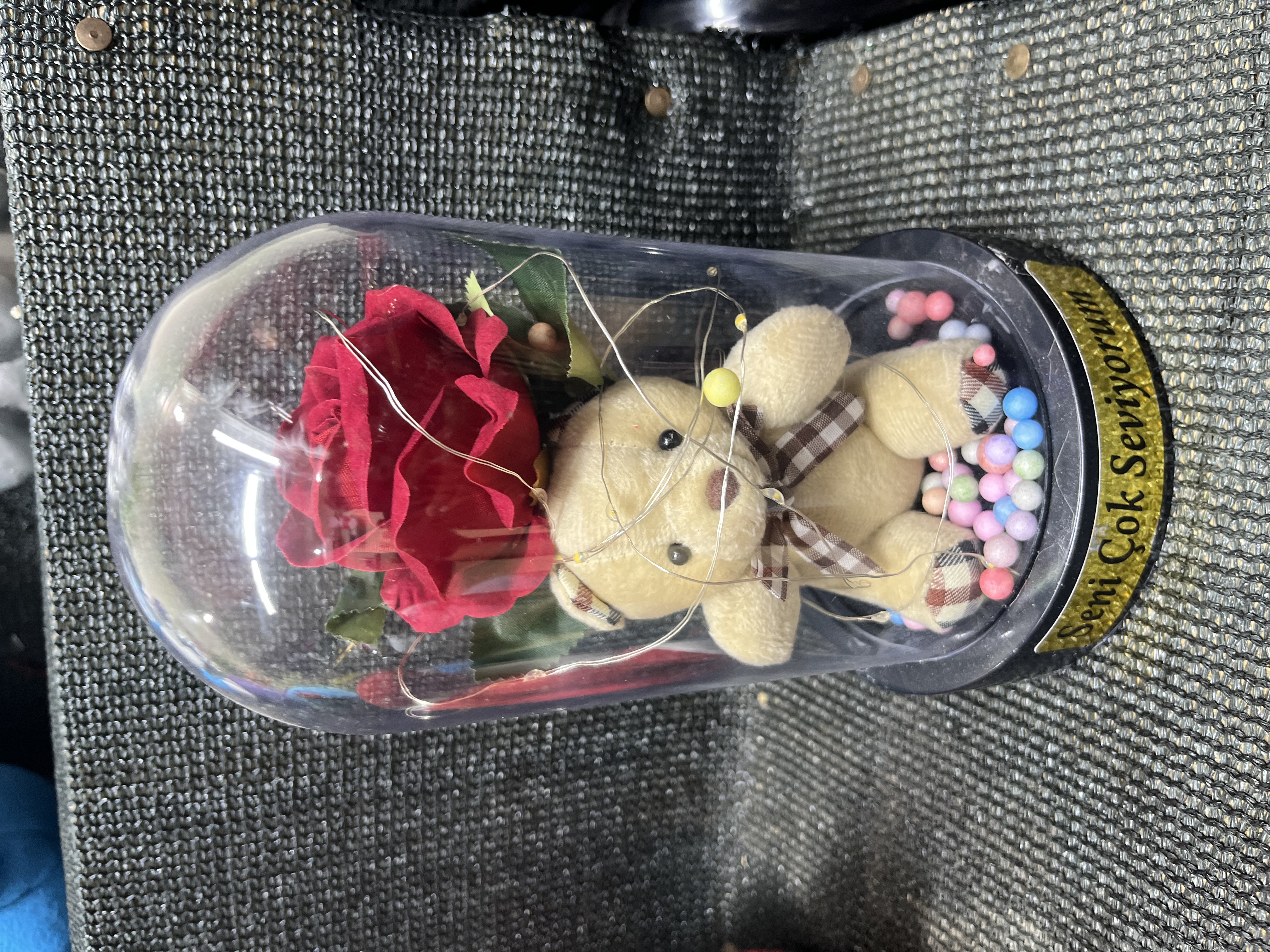 Ayıcık ve Gül Cam Fanus