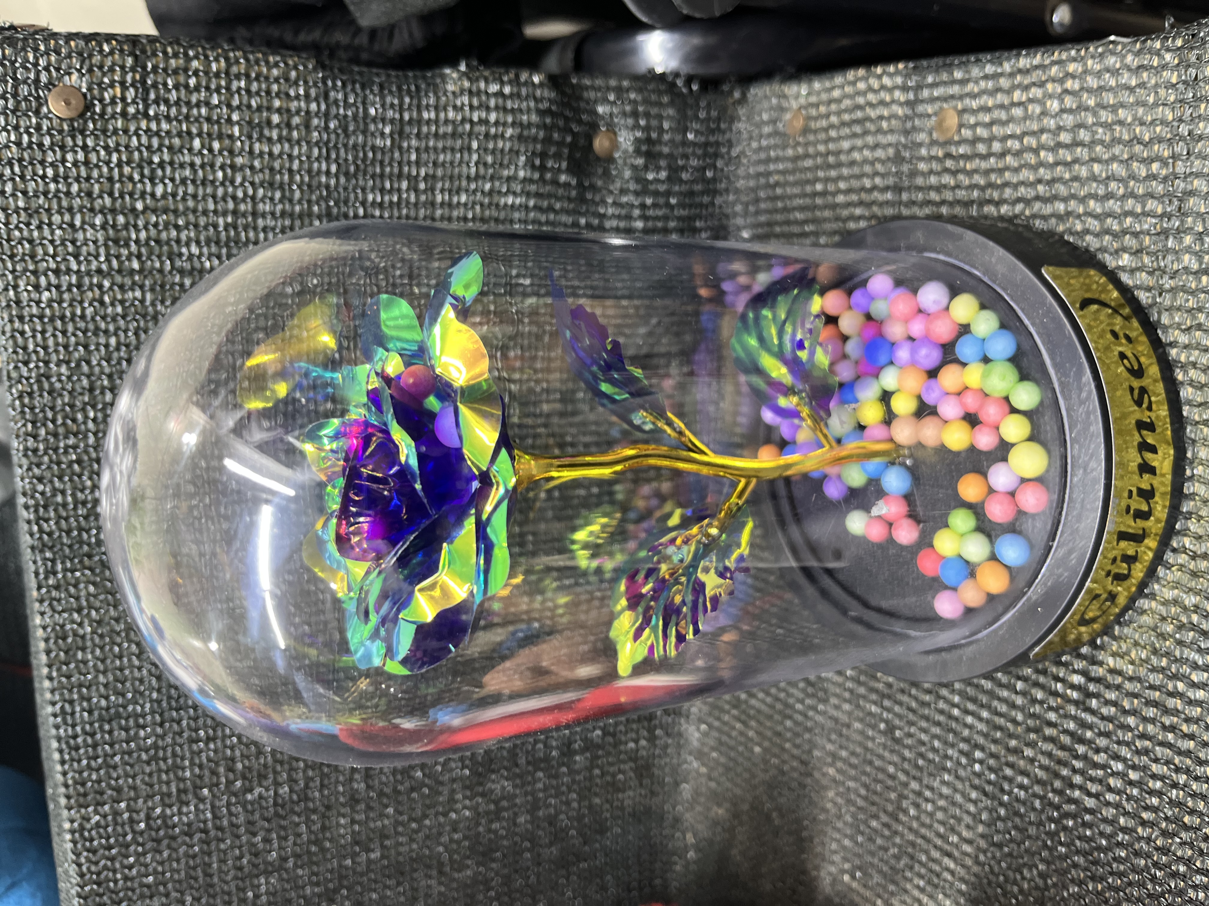 Cam Fanusta Sonsuzluk Gülü