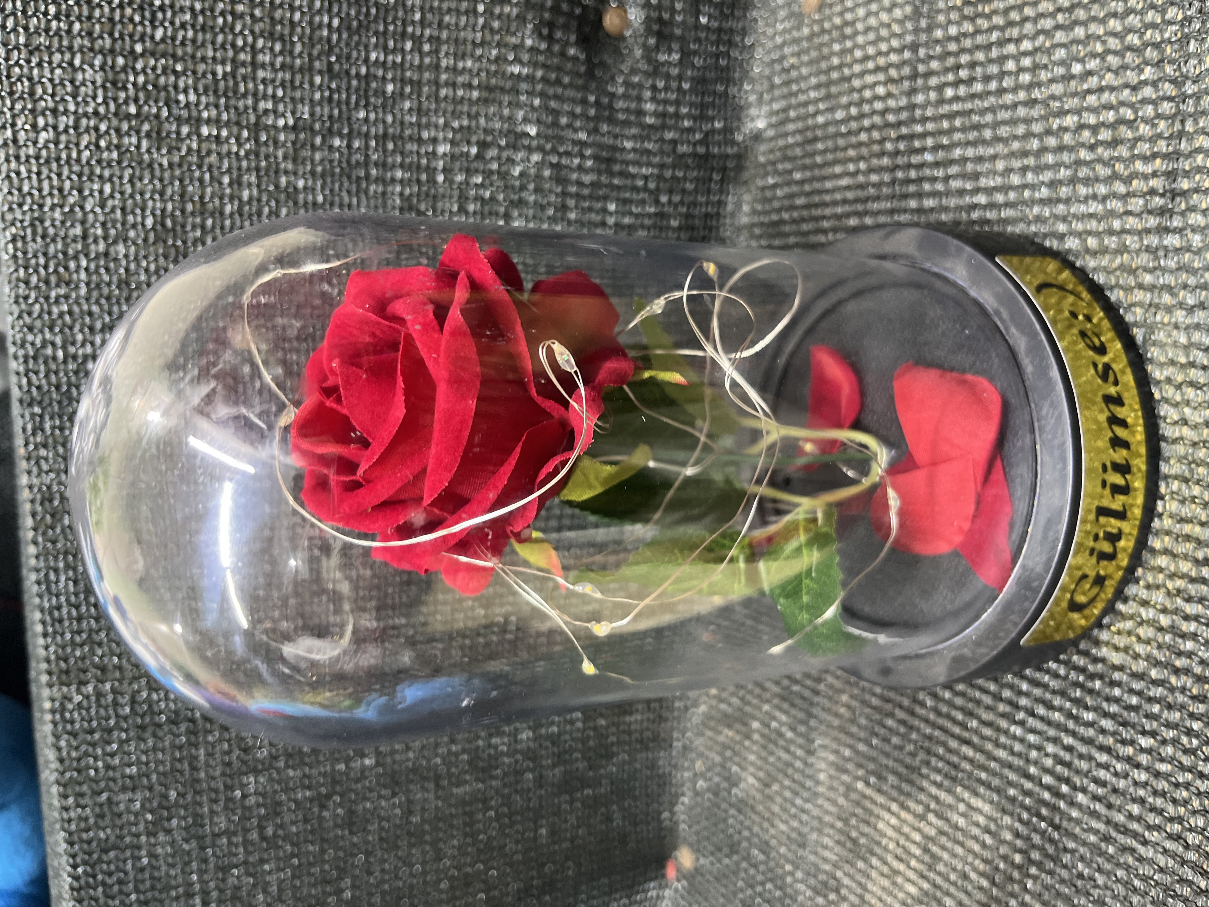 Fanus İçinde Kırmızı Gül