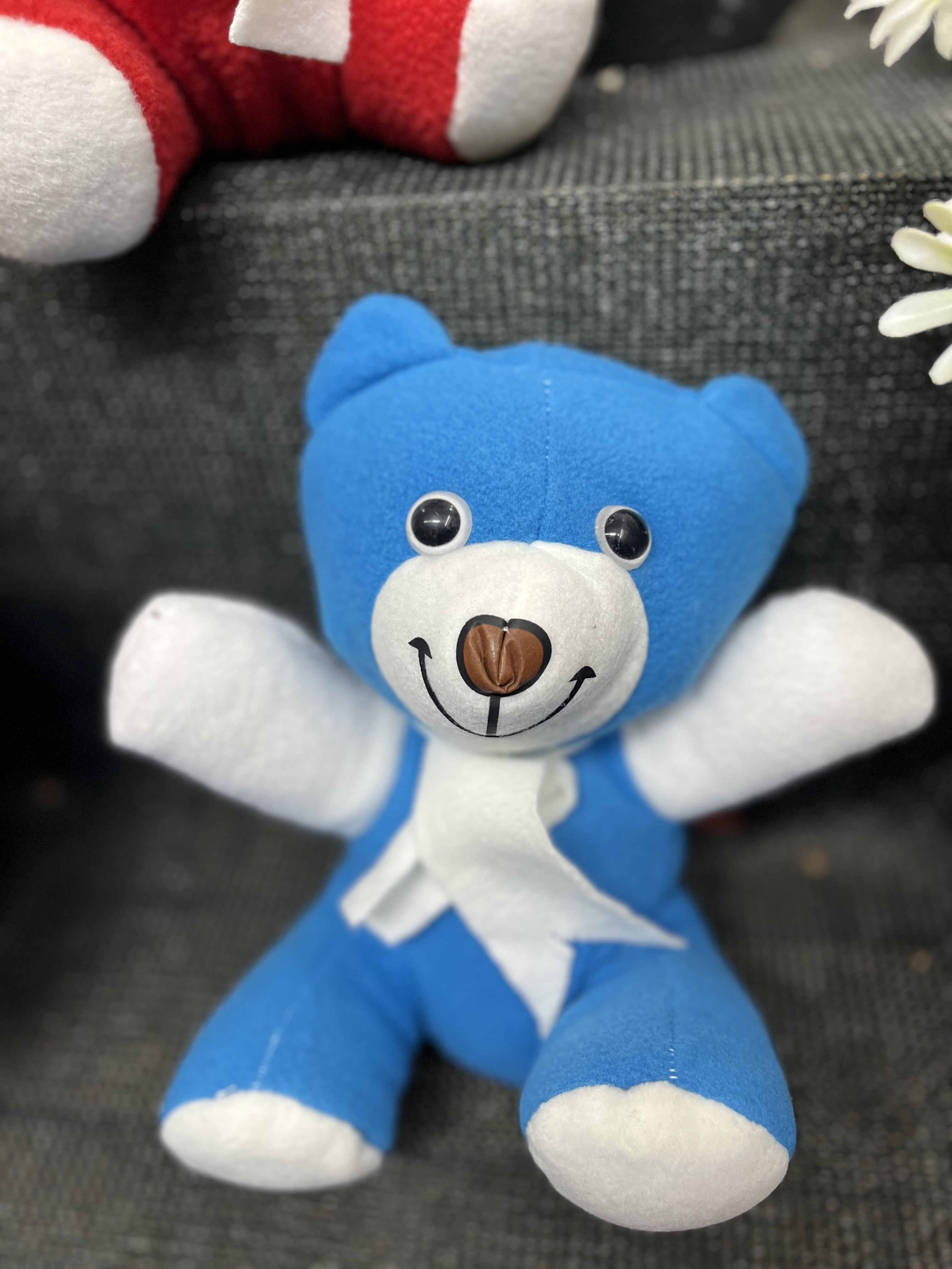 Mavi Peluş Ayıcık