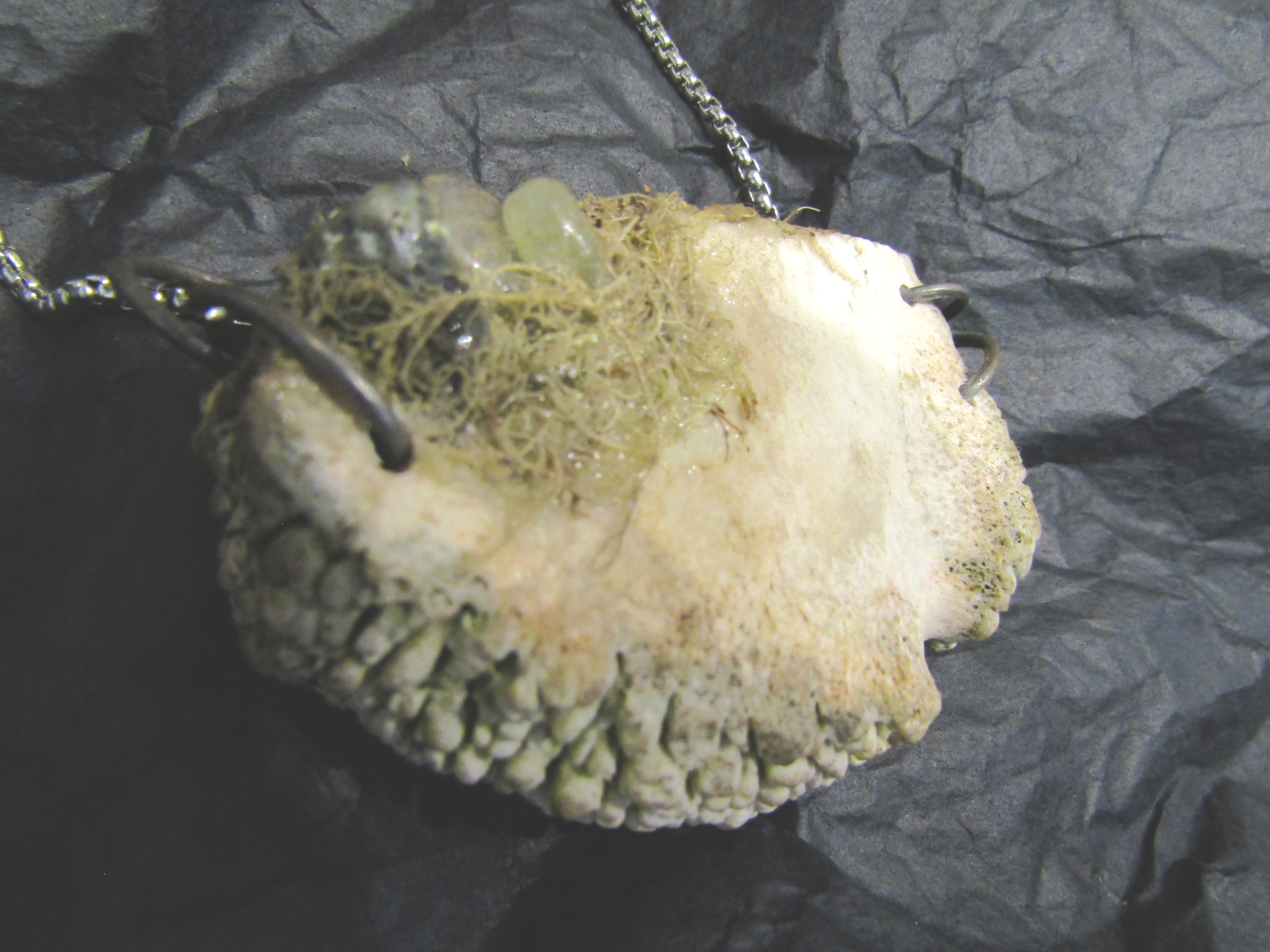 Moss amulet