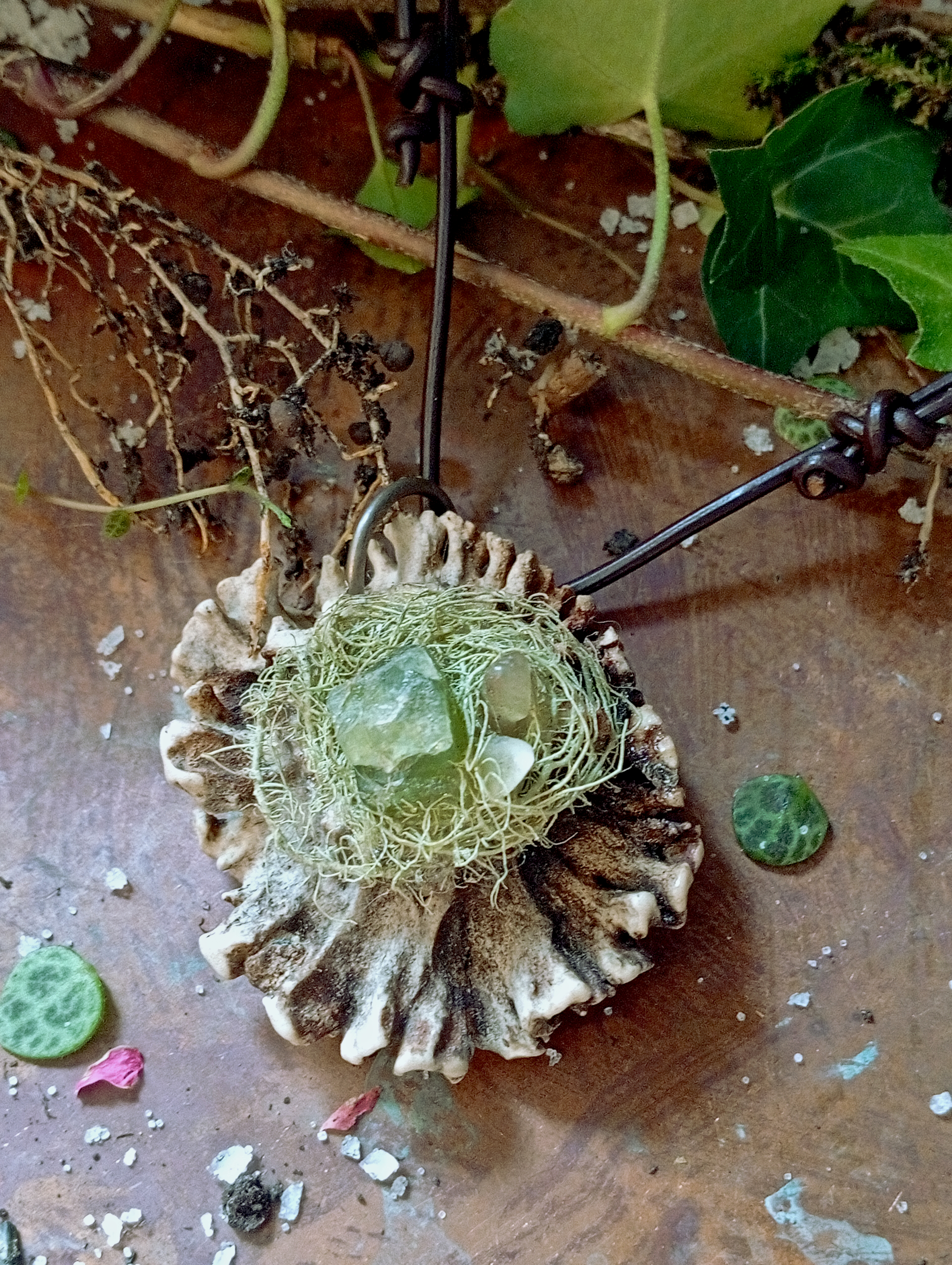 Horn amulet