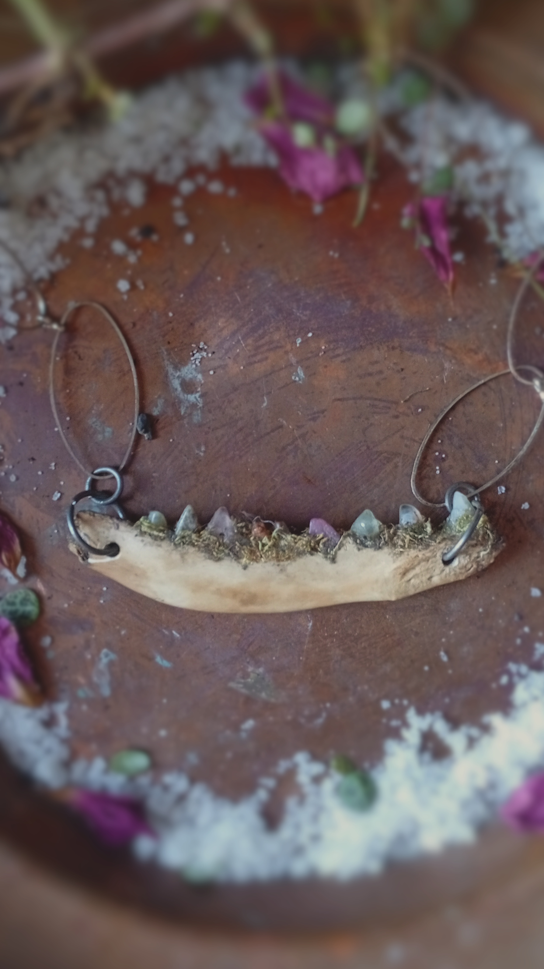 Fox teeth