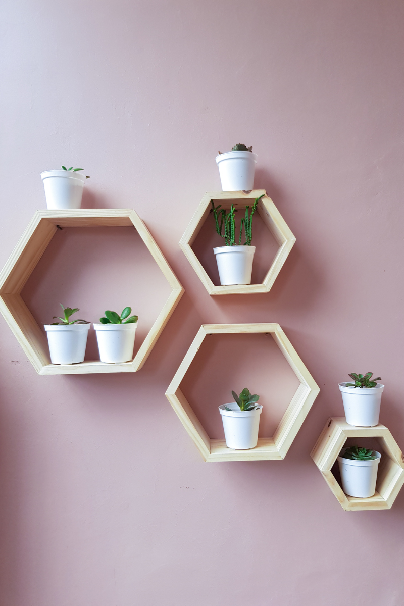Hexagonal Wooden Shelves with Potted Succulents