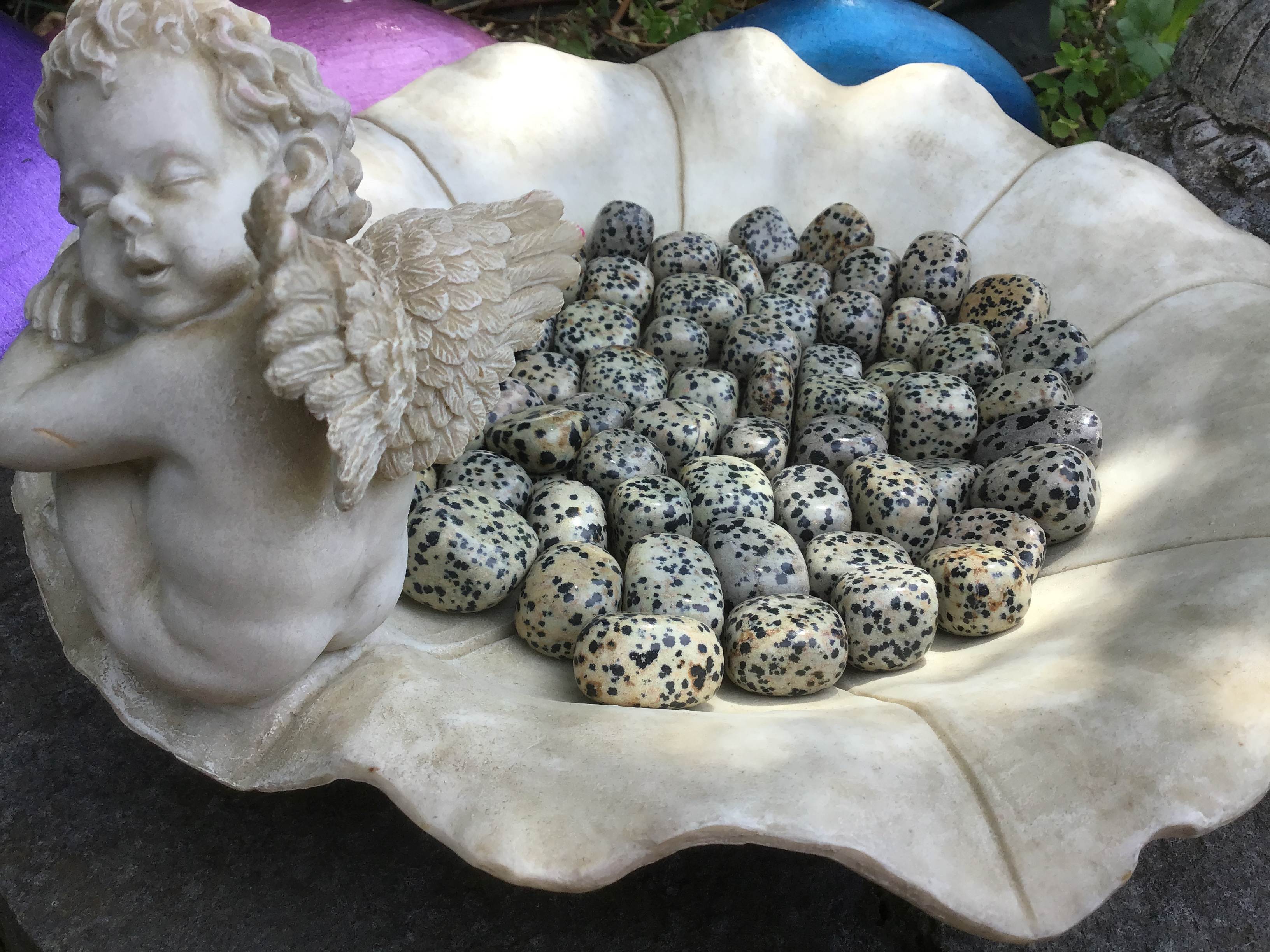 Dalmatian Jasper – Tumbled Stone