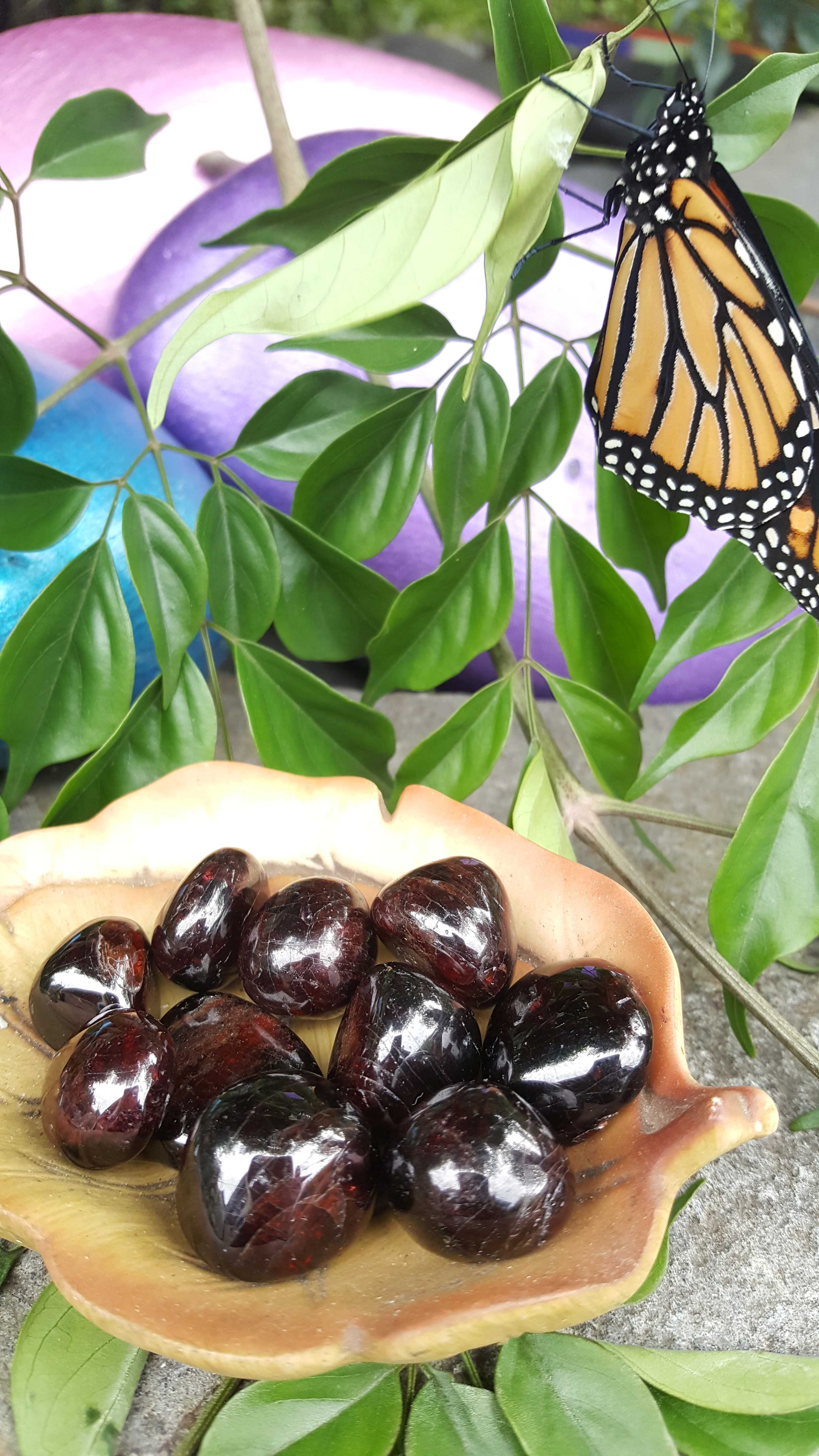 Garnet - Tumbled Stone