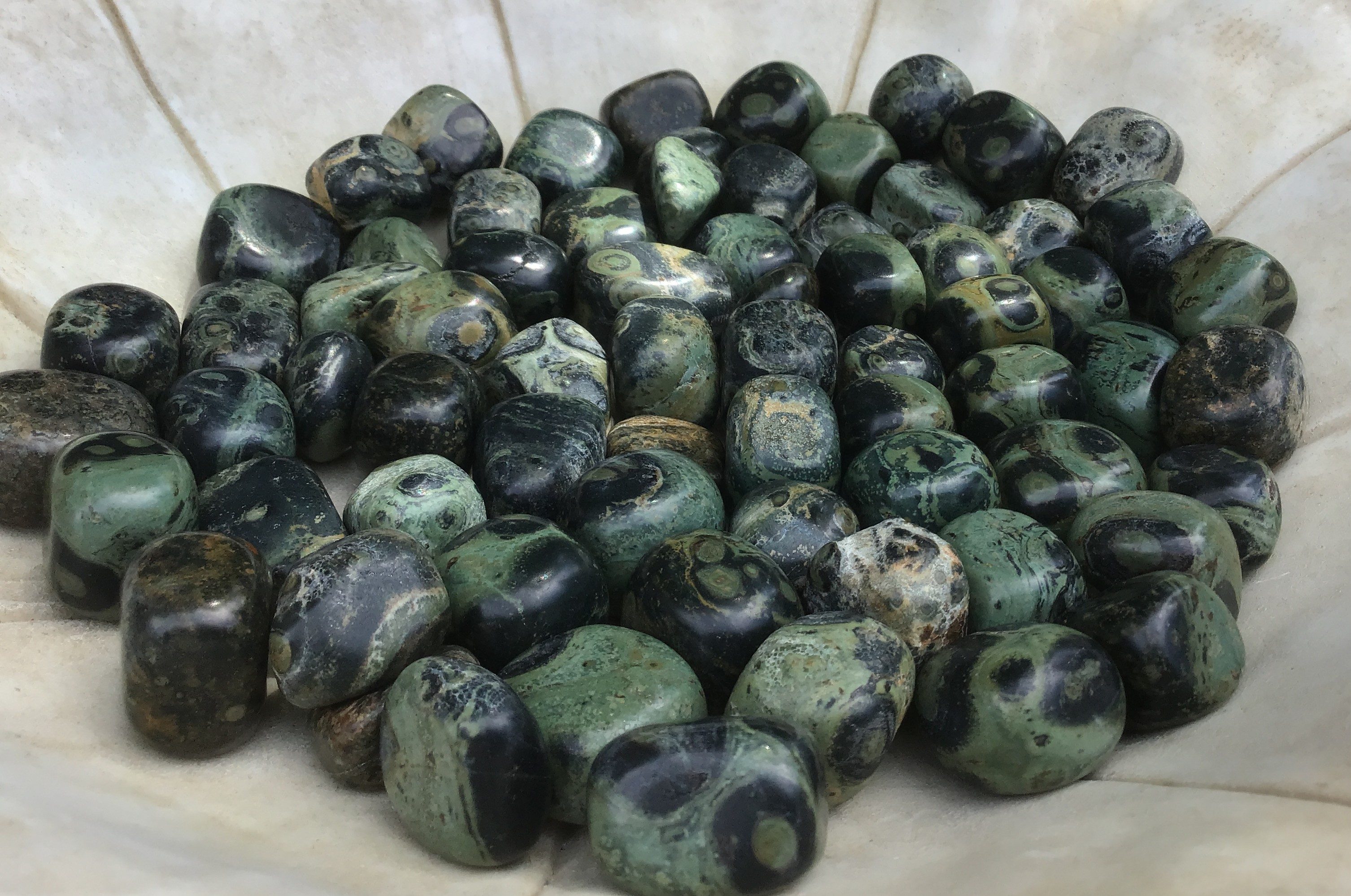 Kambaba Jasper – Tumbled Stone