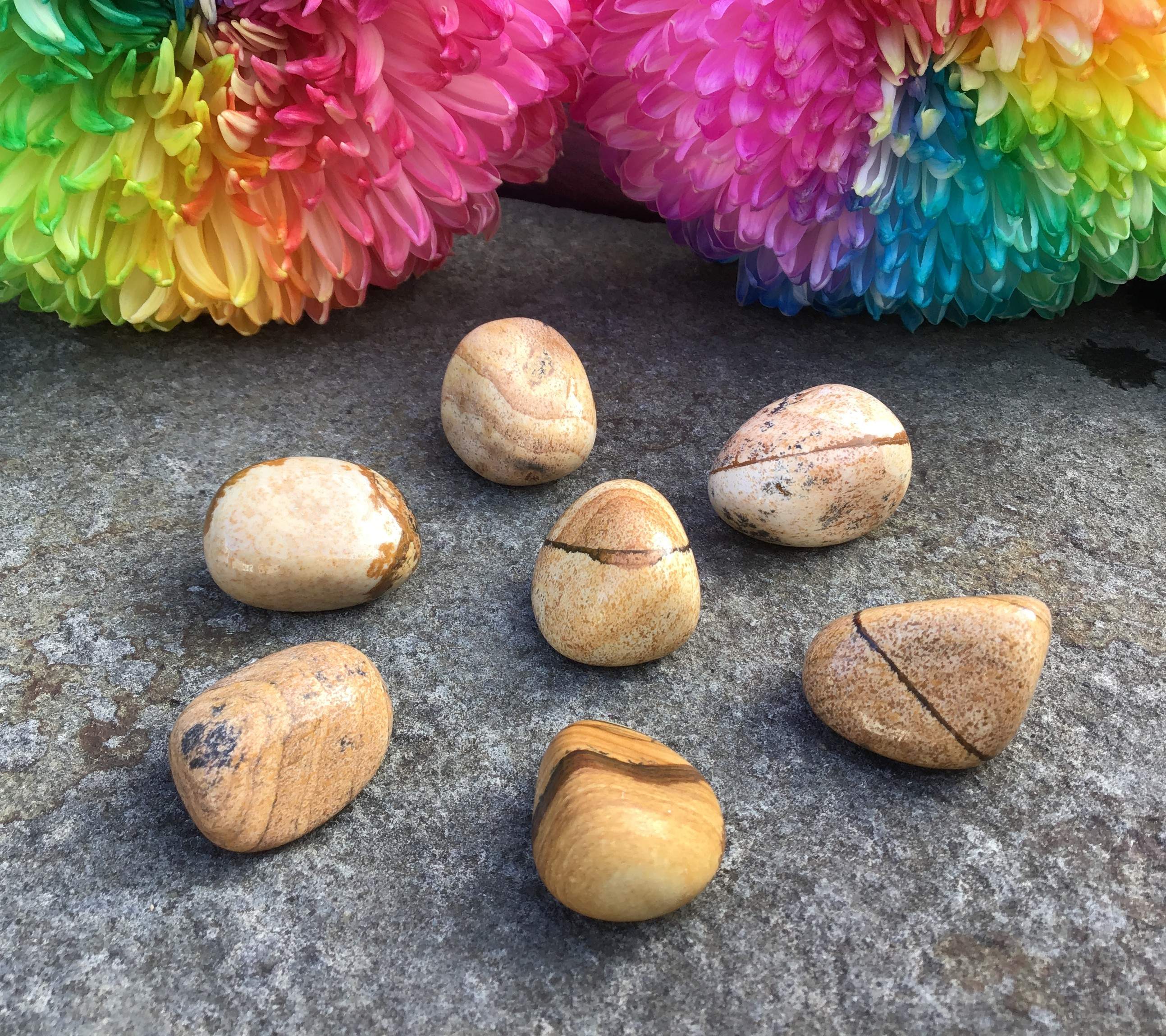 Picture Jasper – Tumbled Stone