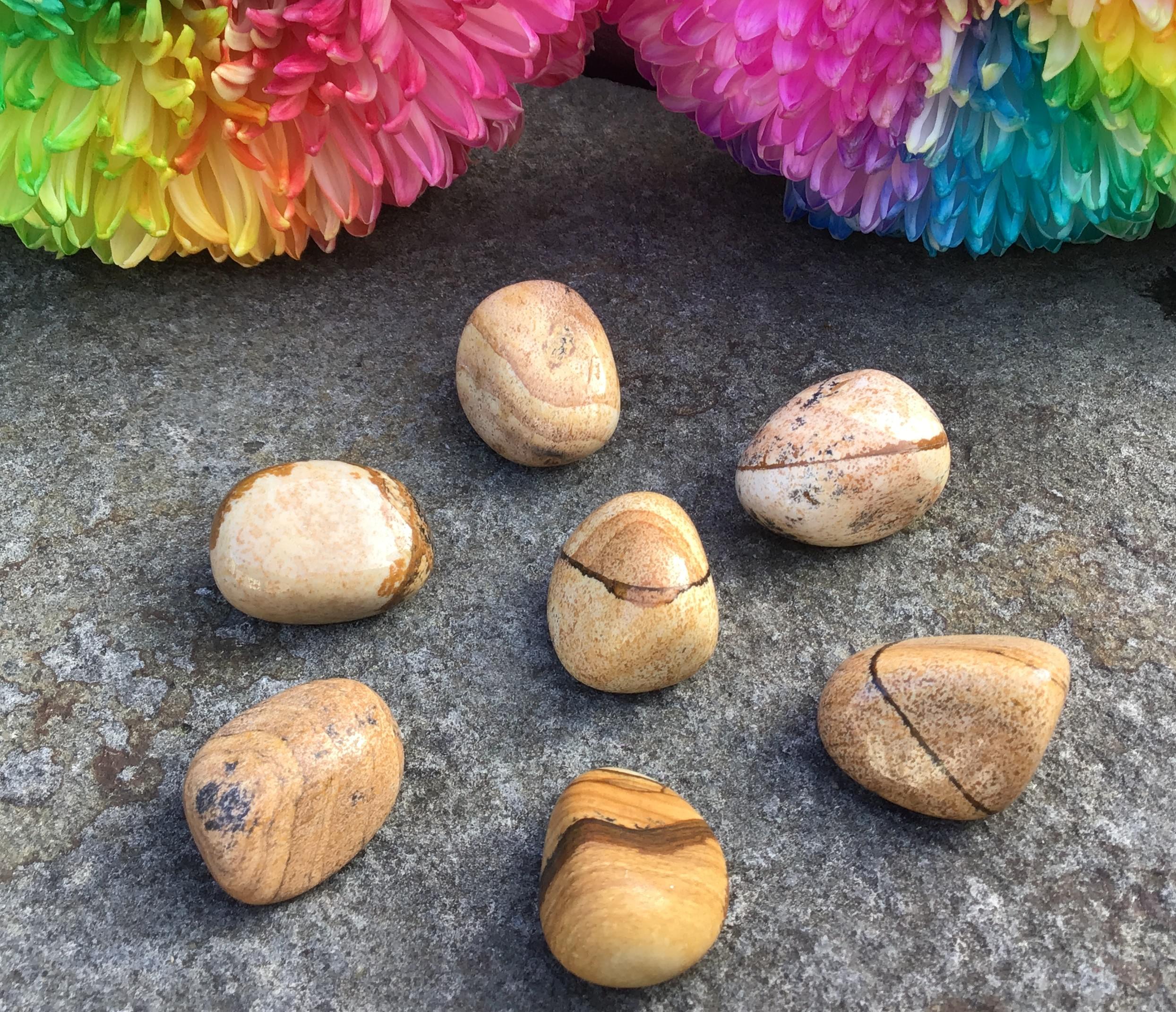 Picture Jasper – Tumbled Stone