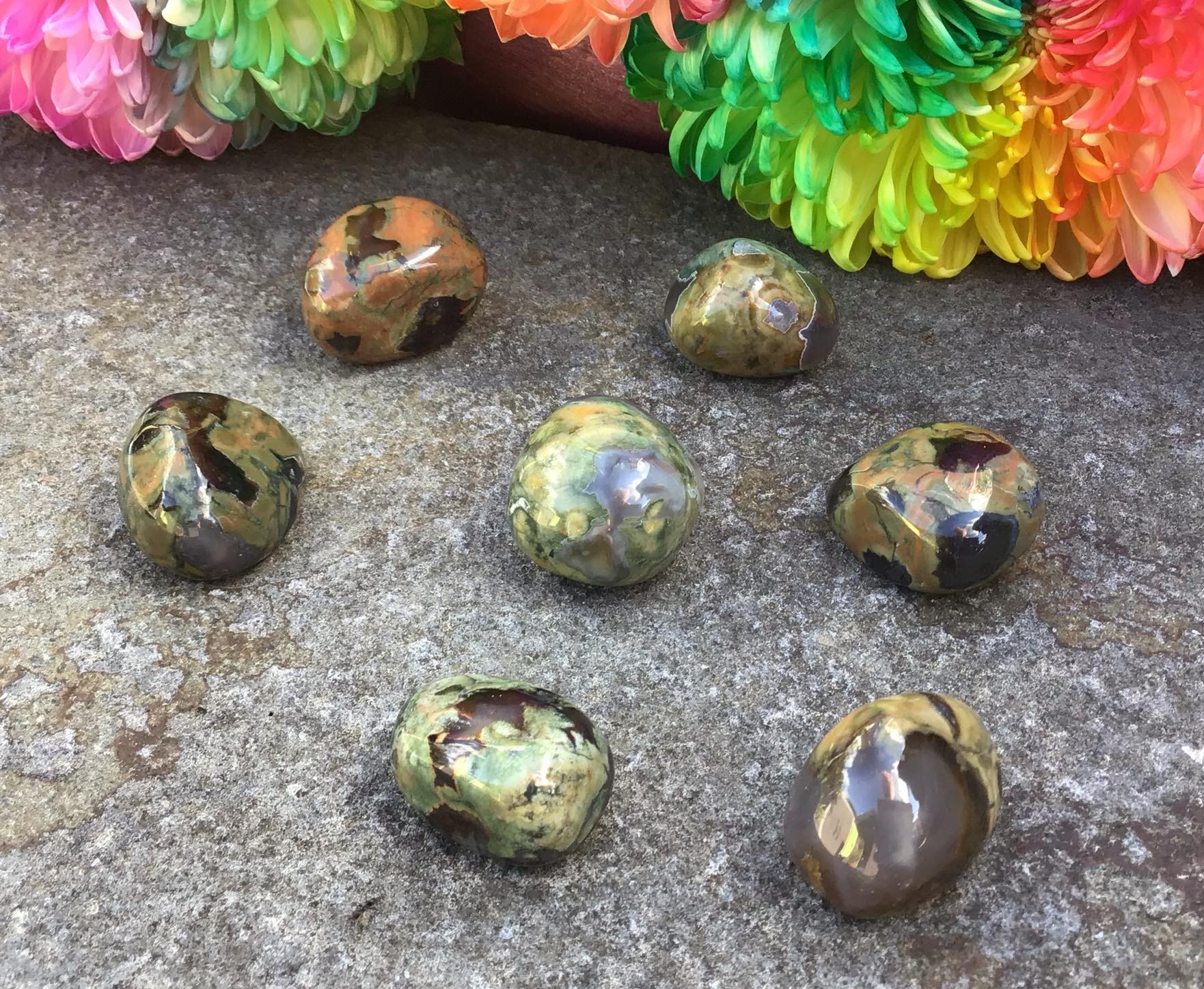 Rainforest Jasper – Tumbled Stone