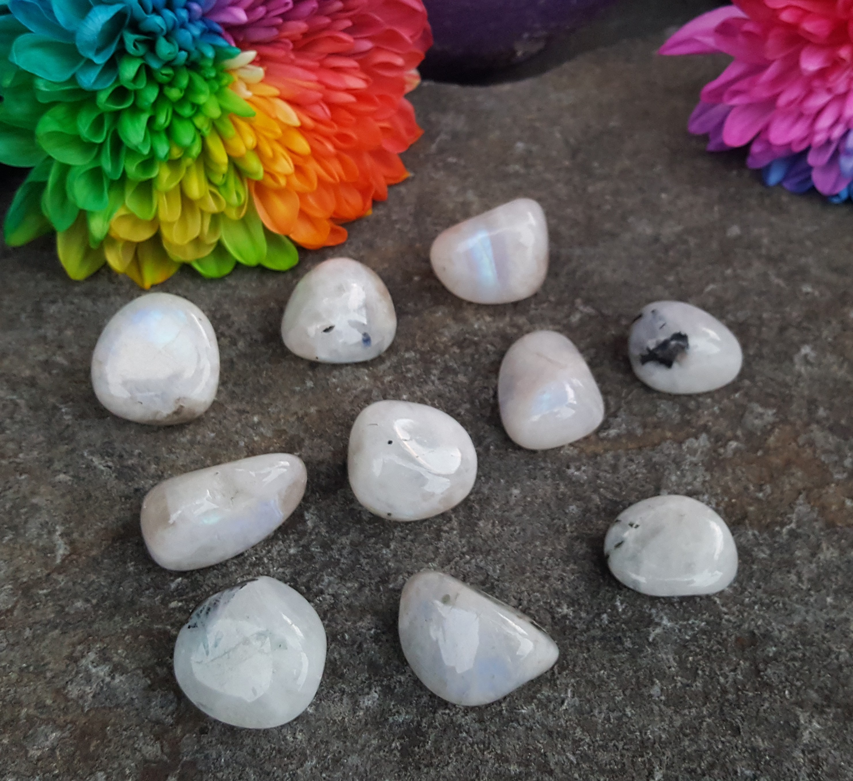 Rainbow Moonstone – Tumbled Stone