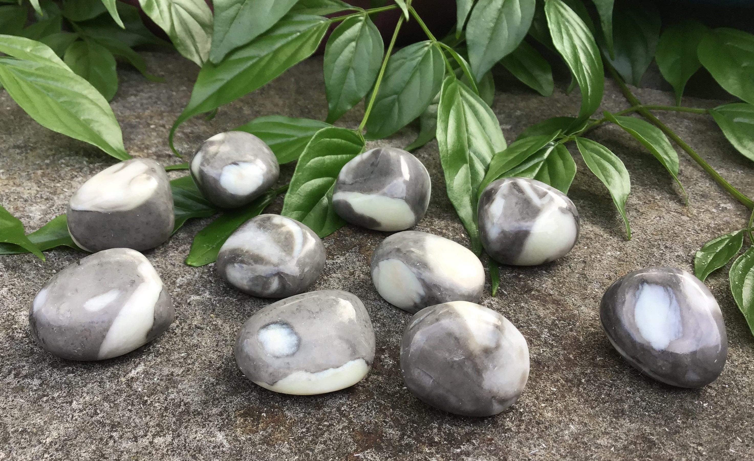 Shell Jasper – Tumbled Stone