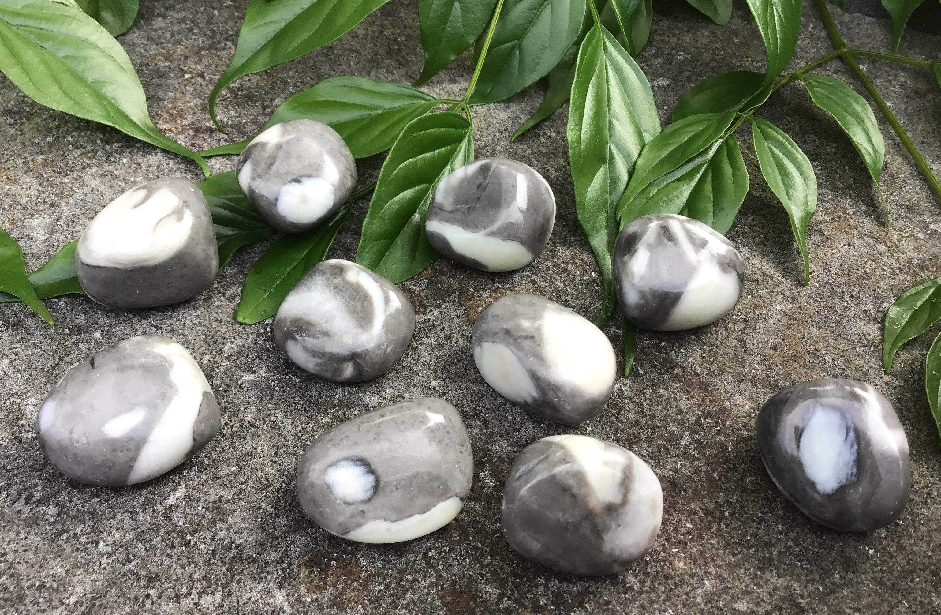 Shell Jasper – Tumbled Stone