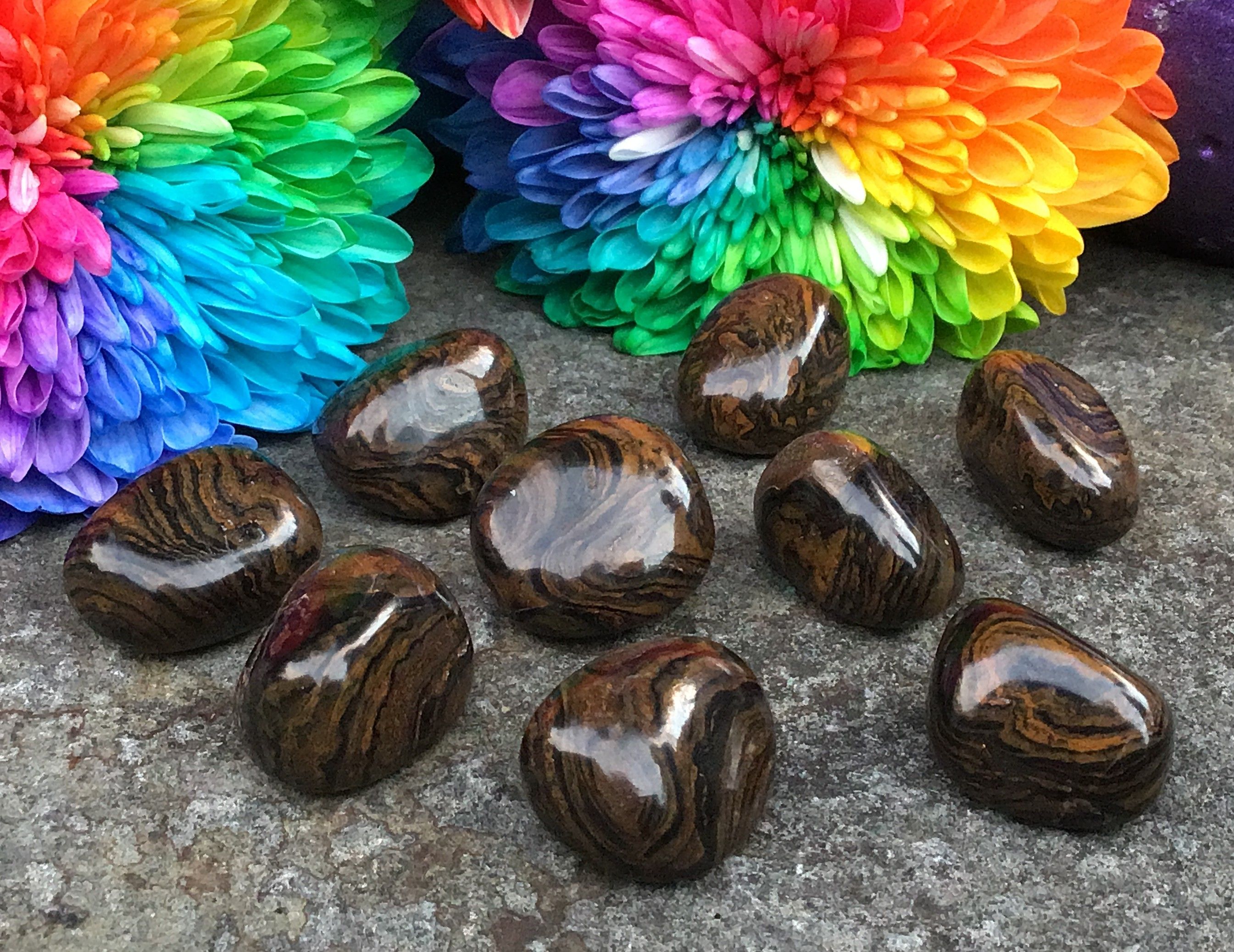 Stromatolite – Tumbled Stone
