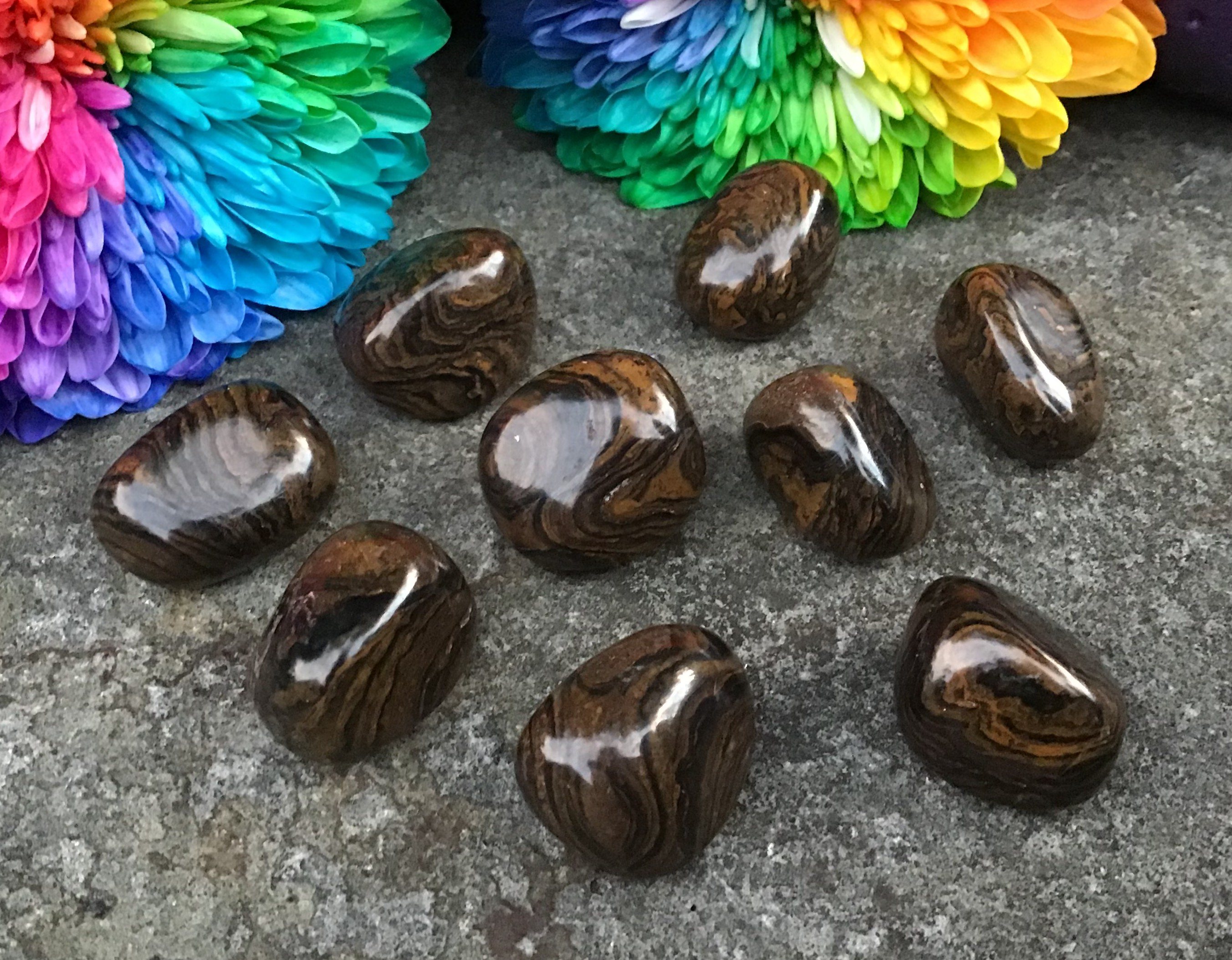 Stromatolite – Tumbled Stone