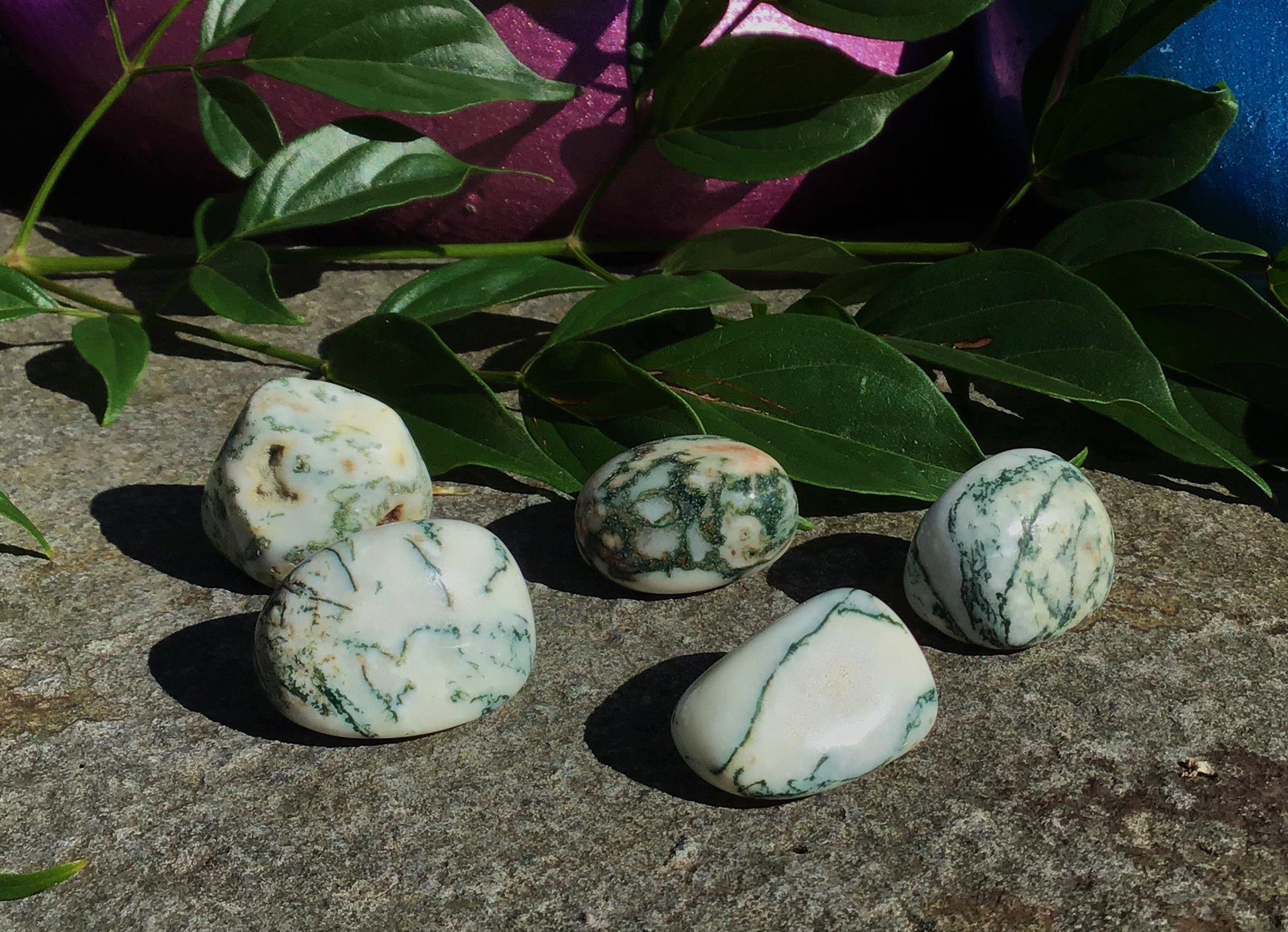 Tree Agate – Tumbled Stone