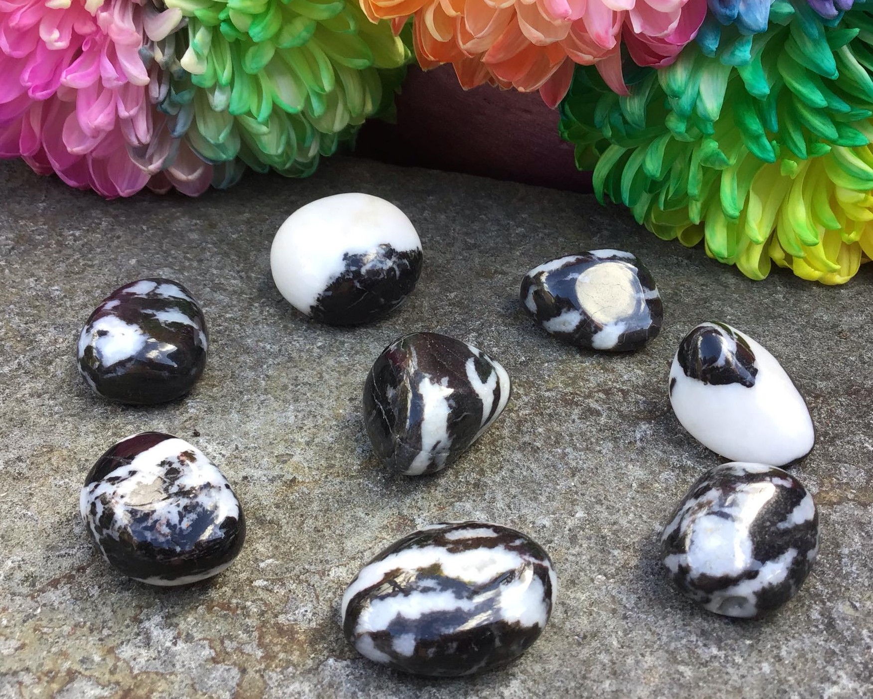 Zebra Jasper – Tumbled Stone