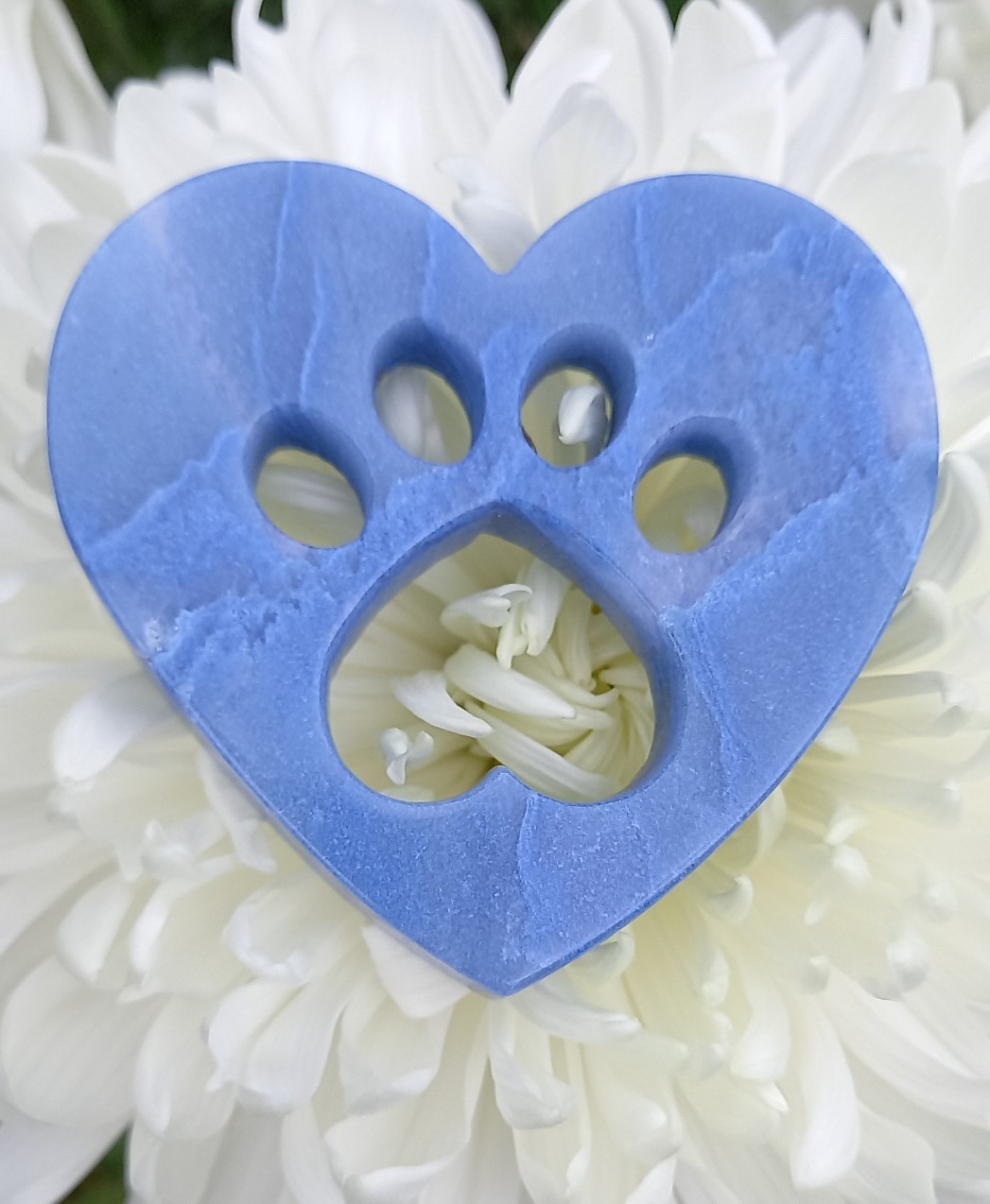 Blue Aventurine Heart with Paw Print