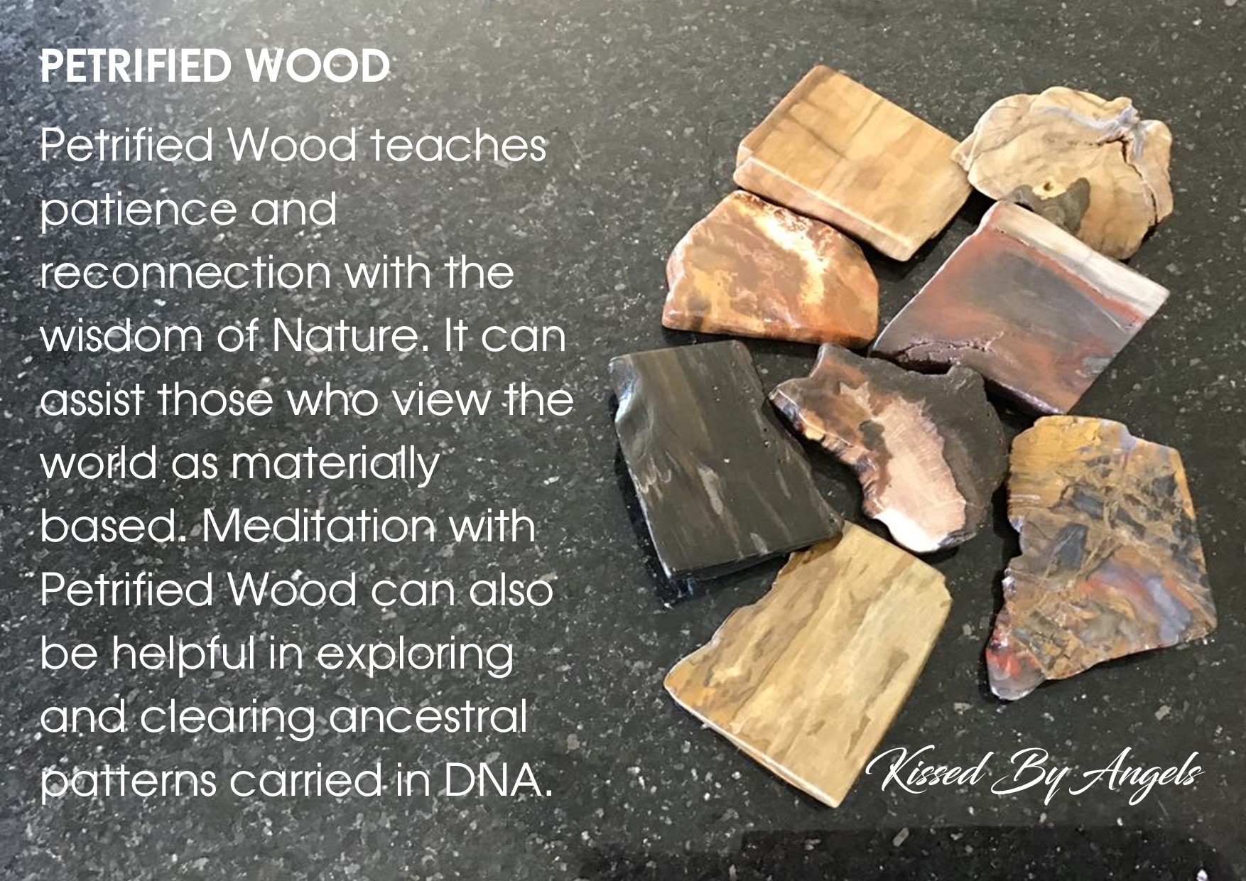 Petrified Wood – Charging Plate
