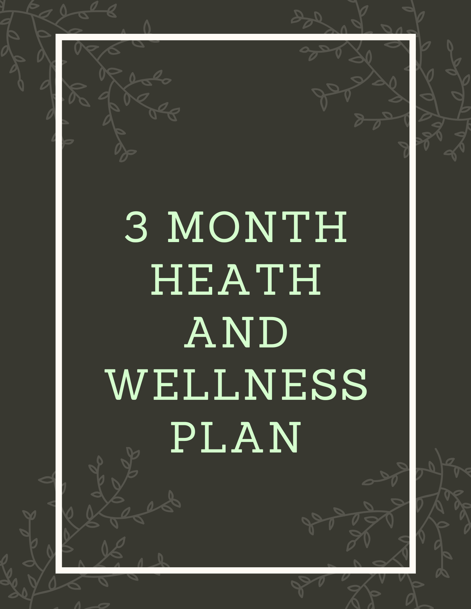 3 Month Health and Wellness Plan