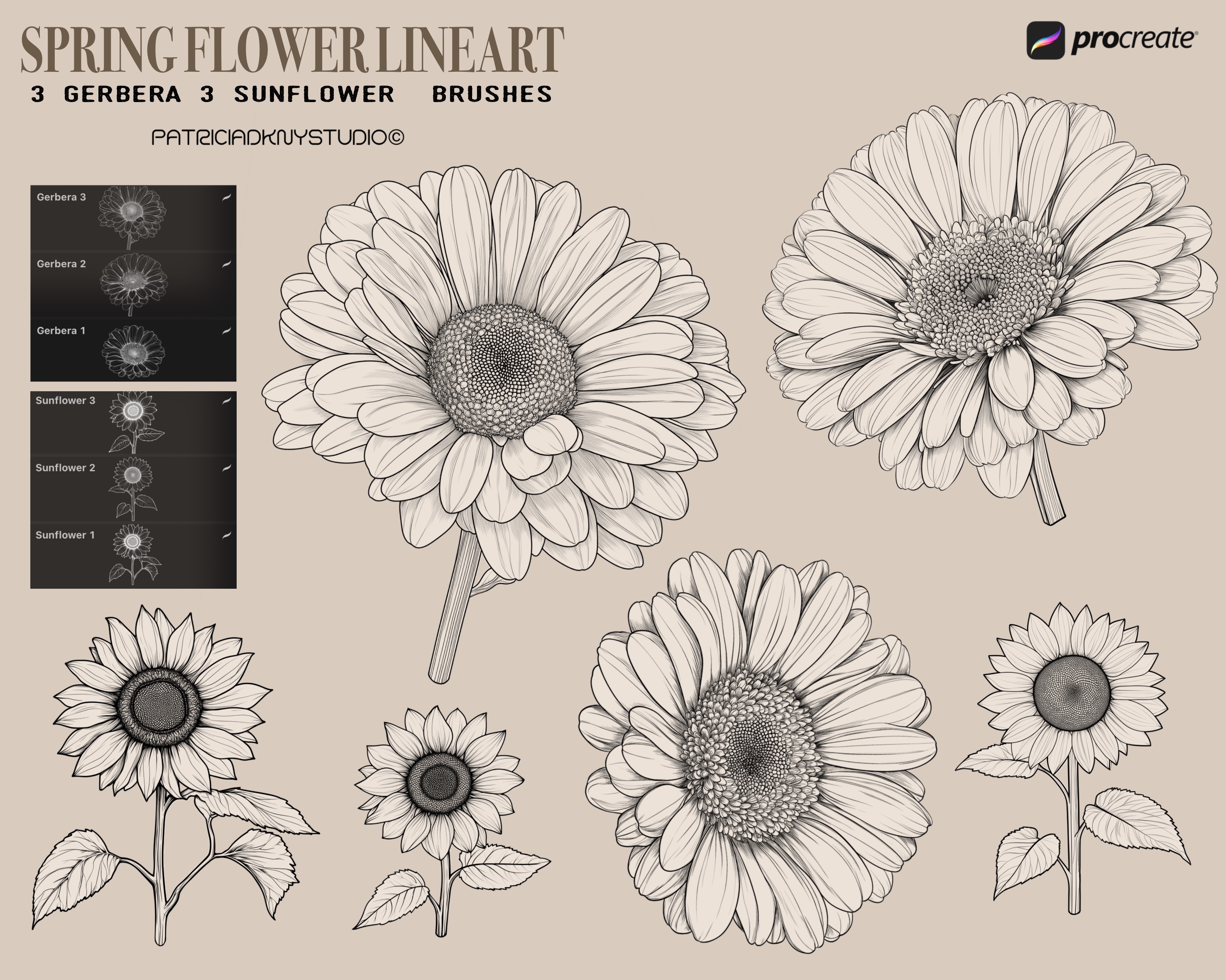 Procreate spring flower brushes