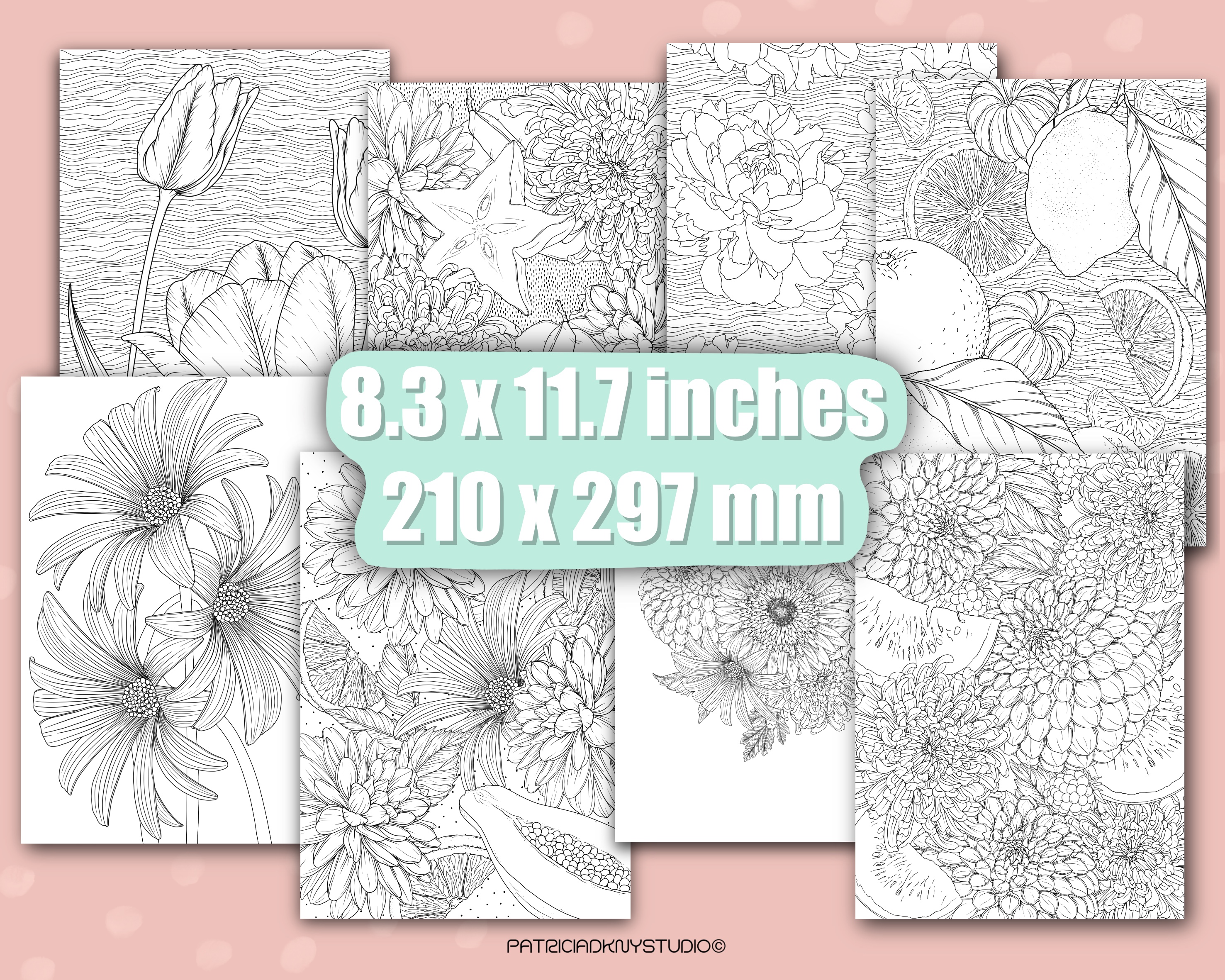 Spring Flower Coloring Book