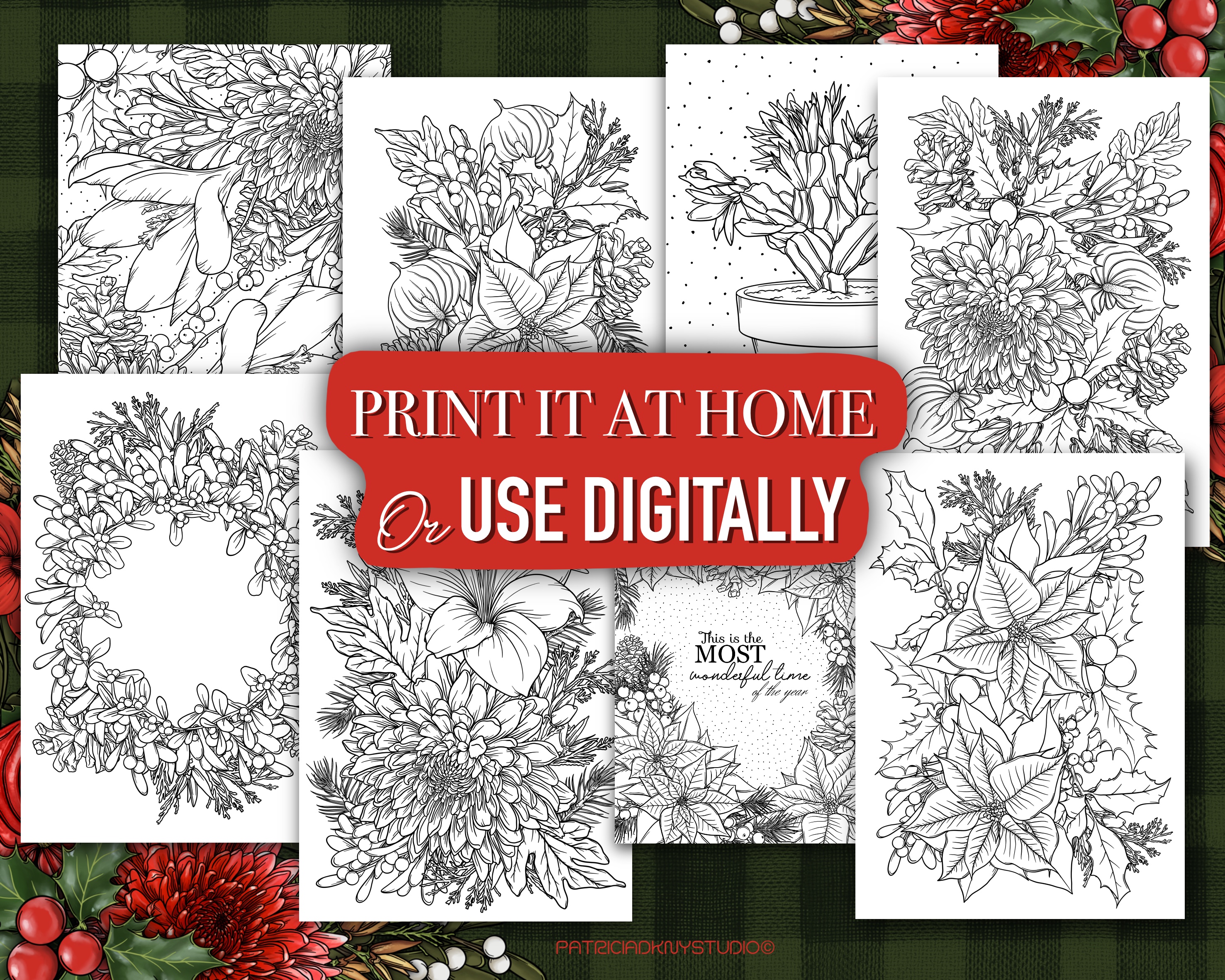 Winter Plants Coloring Book