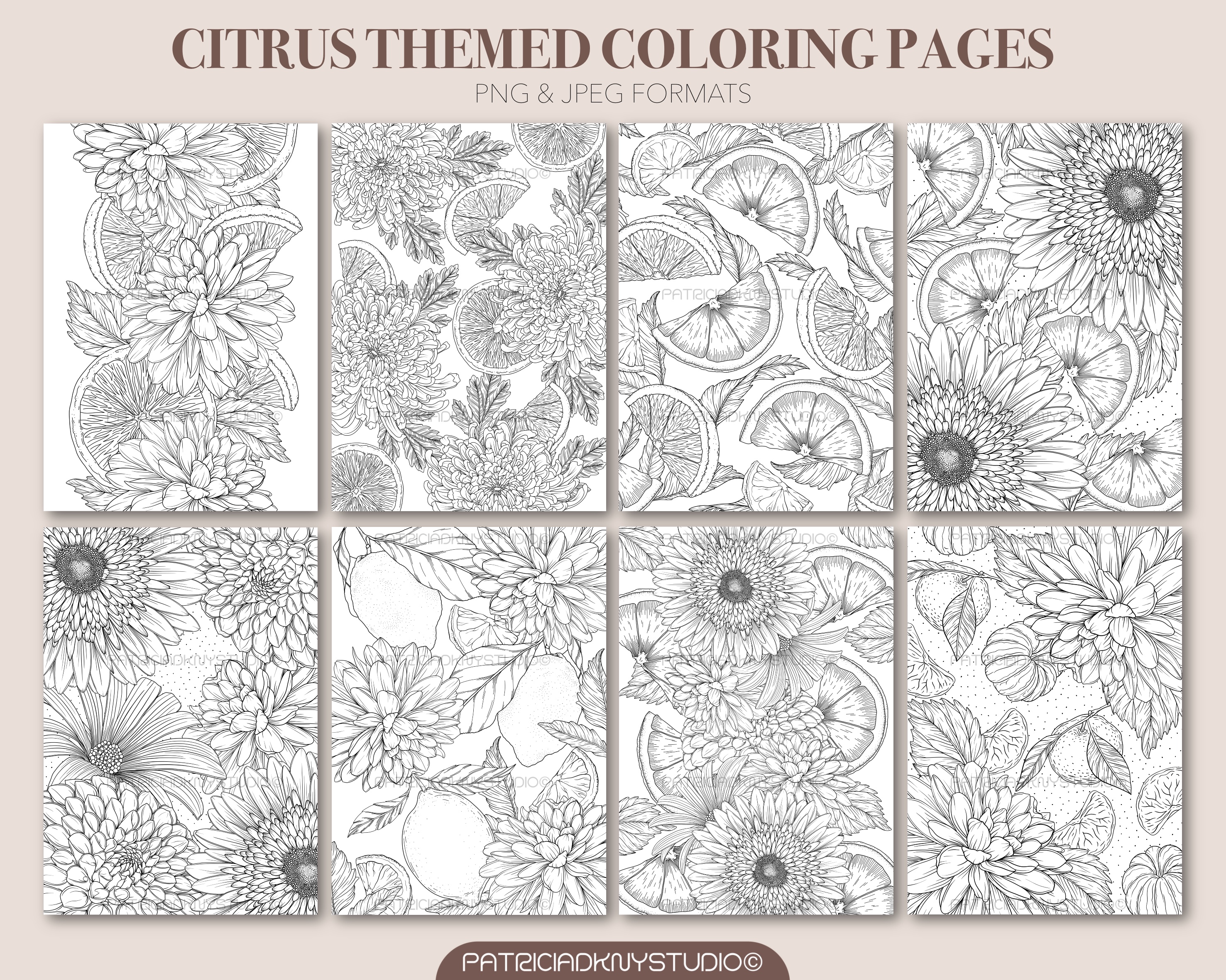 Coloring Book Bundle