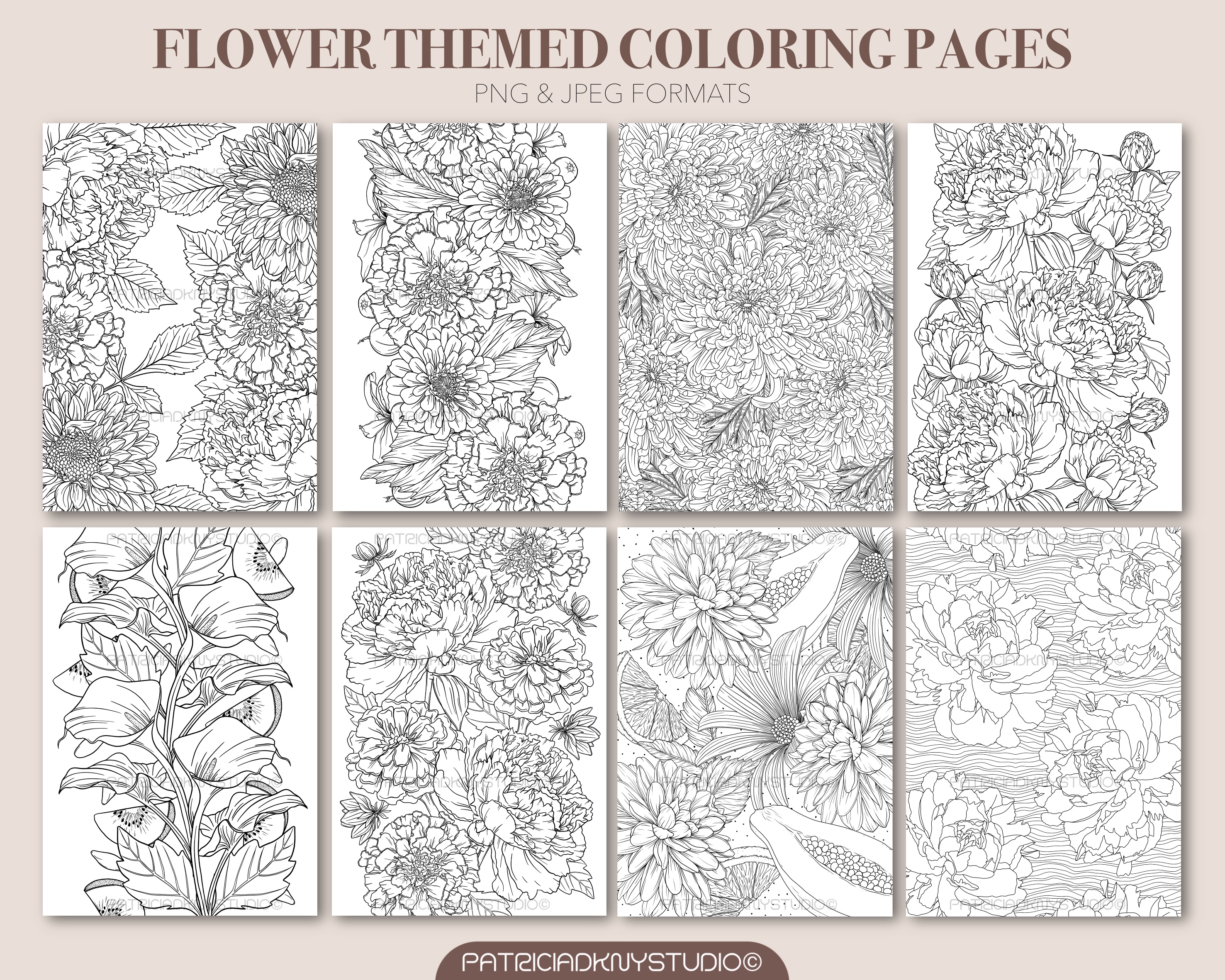 Coloring Book Bundle