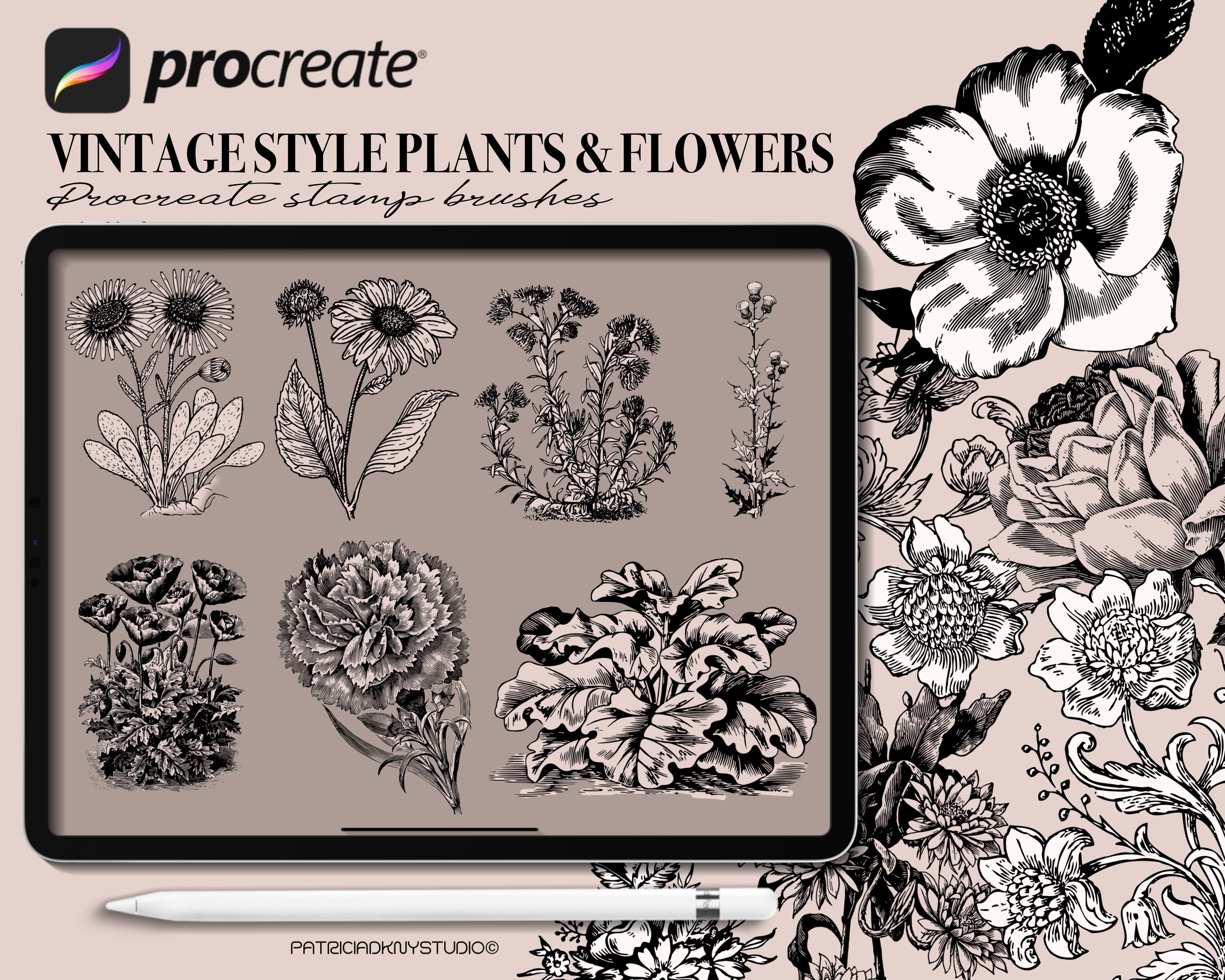 Procreate Vintage Style Plant Brushes